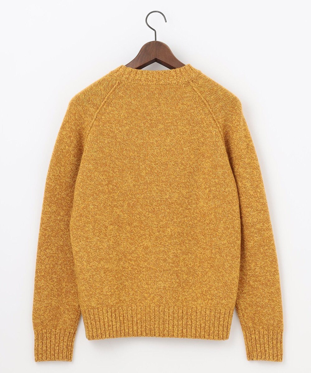 JOSEPH ABBOUD MOUNTAIN 【WEB限定・SPACE/イタリア糸使用/軽く暖かい/豊富なカラー】 ラムウール　クルーネック ニット 