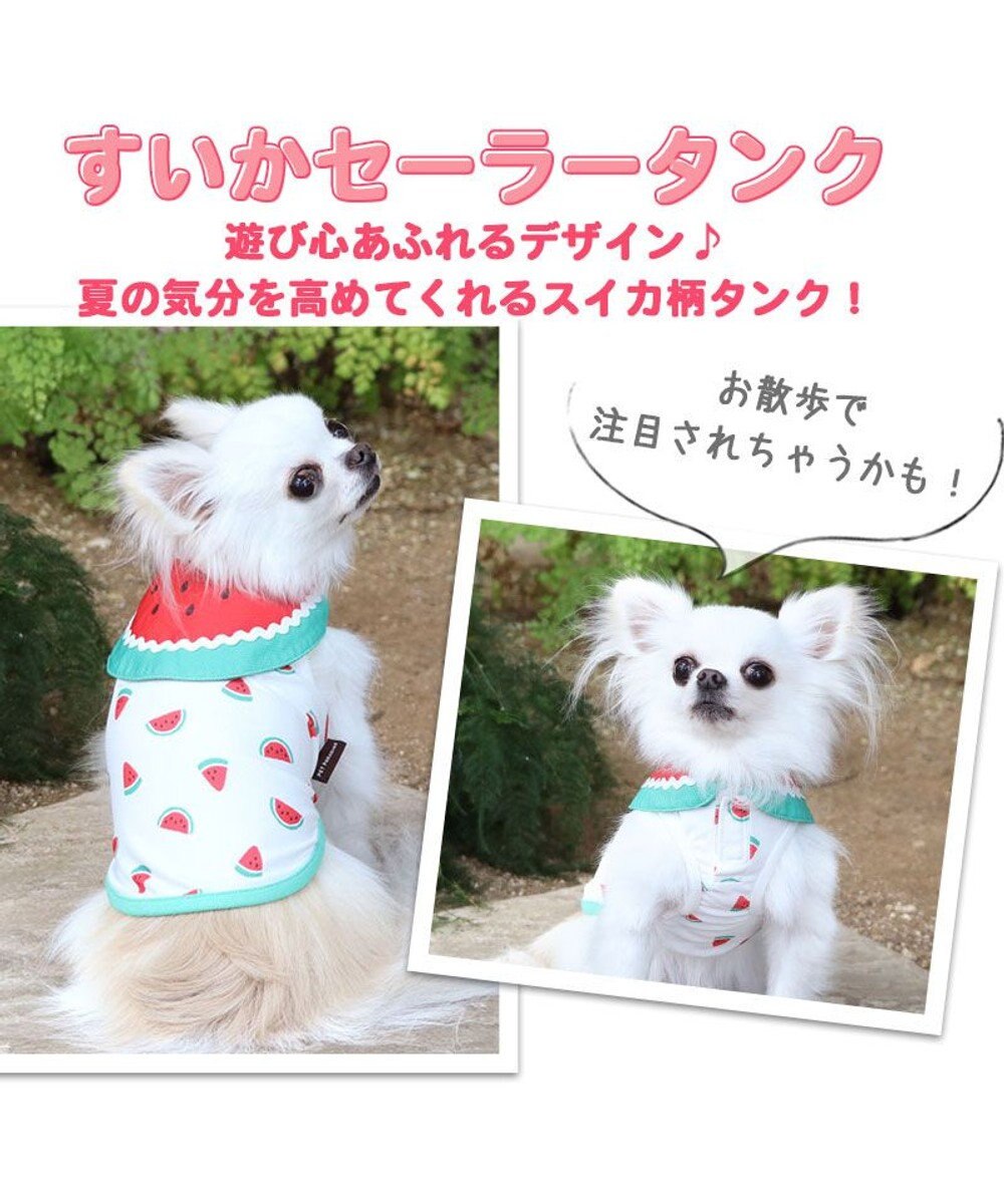 犬 服き タンクトップ 小型犬 スイカ ポケットクール Pet Paradise ファッション通販 公式通販 オンワード クローゼット 犬 服き タンクトップ 小型犬 スイカ ポケットクール Pet Paradise ファッション通販 公式通販 オンワード クローゼット