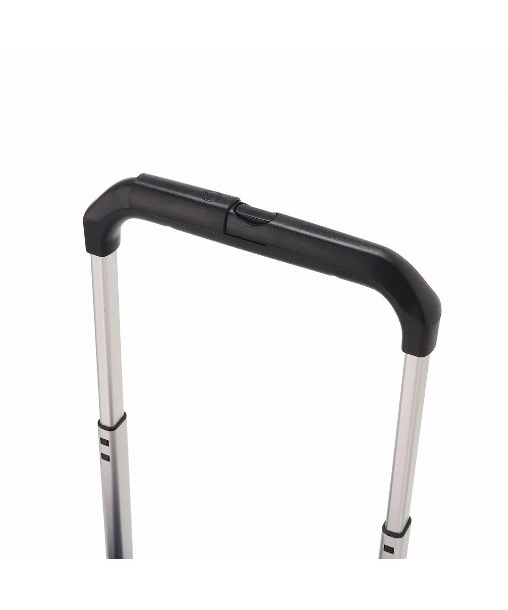 ACE BAGS & LUGGAGE soelte オートゥイユ お買い物キャリーバッグ 13L 機内持込 キャスターストッパー 36001 ソエルテ 