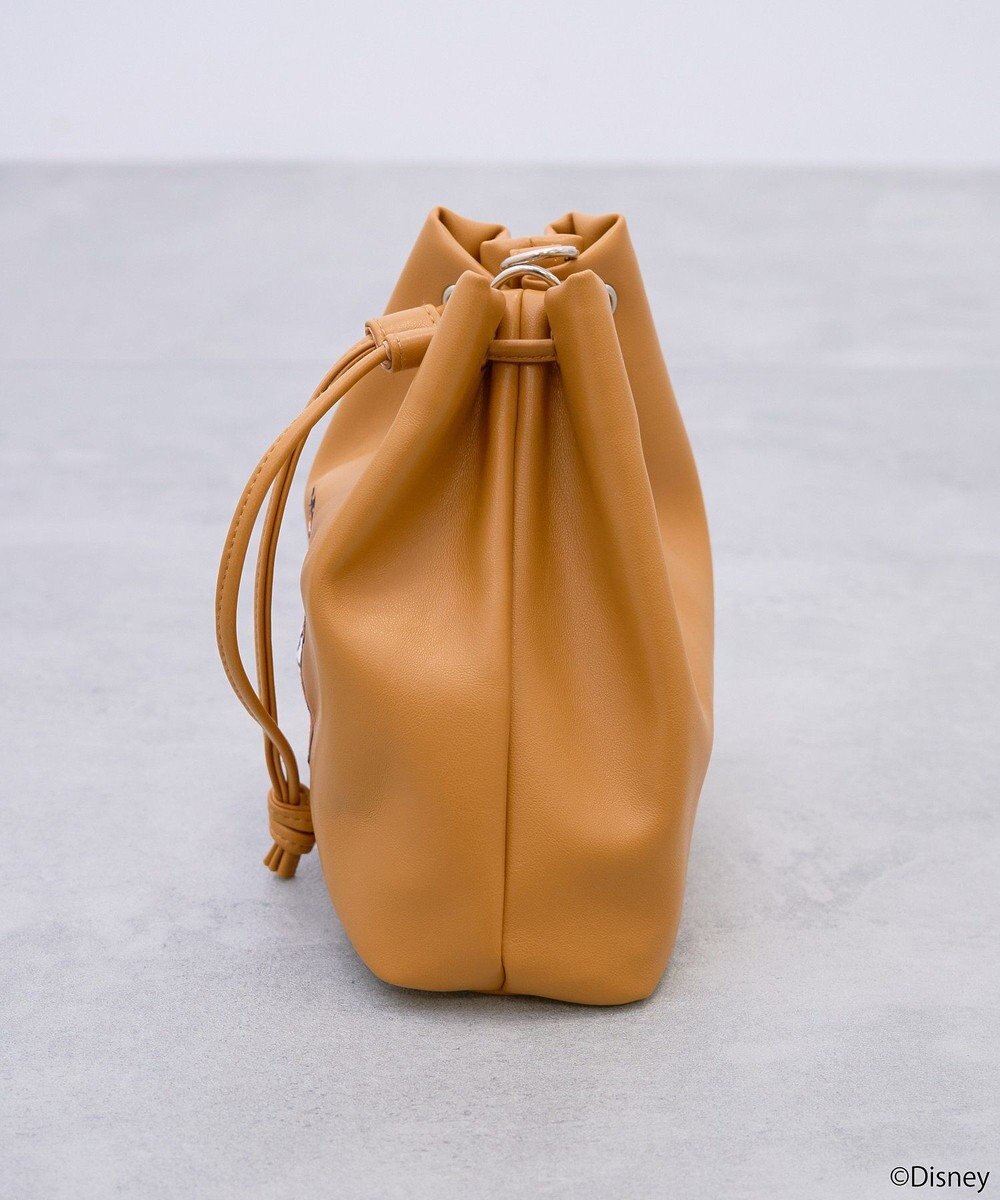 earth music&ecology Ｄｉｓｎｅｙ×Ｓｅｉｊｉ　Ｍａｔｓｕｍｏｔｏミニバッグ 