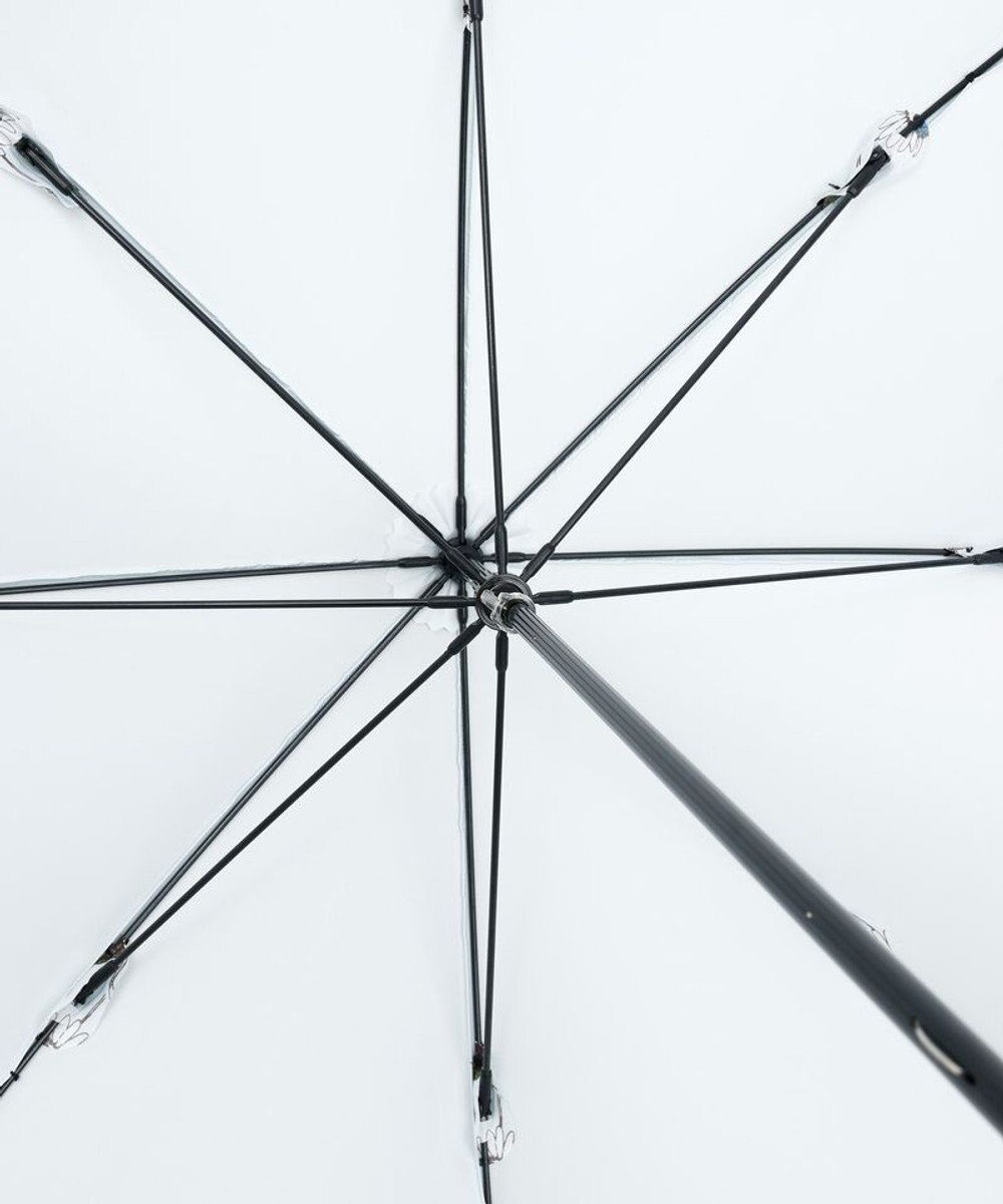 AURORA 【 JILL STUART（ジル スチュアート）】ボタニカルプリント雨傘(長傘) 