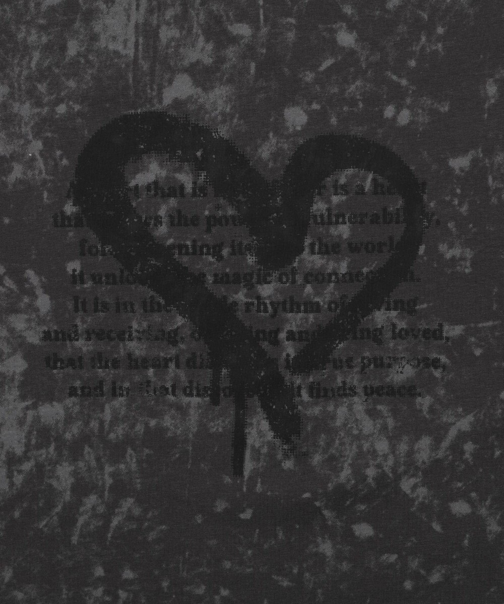 WEGO スノーパターングラフィックT（SS） 