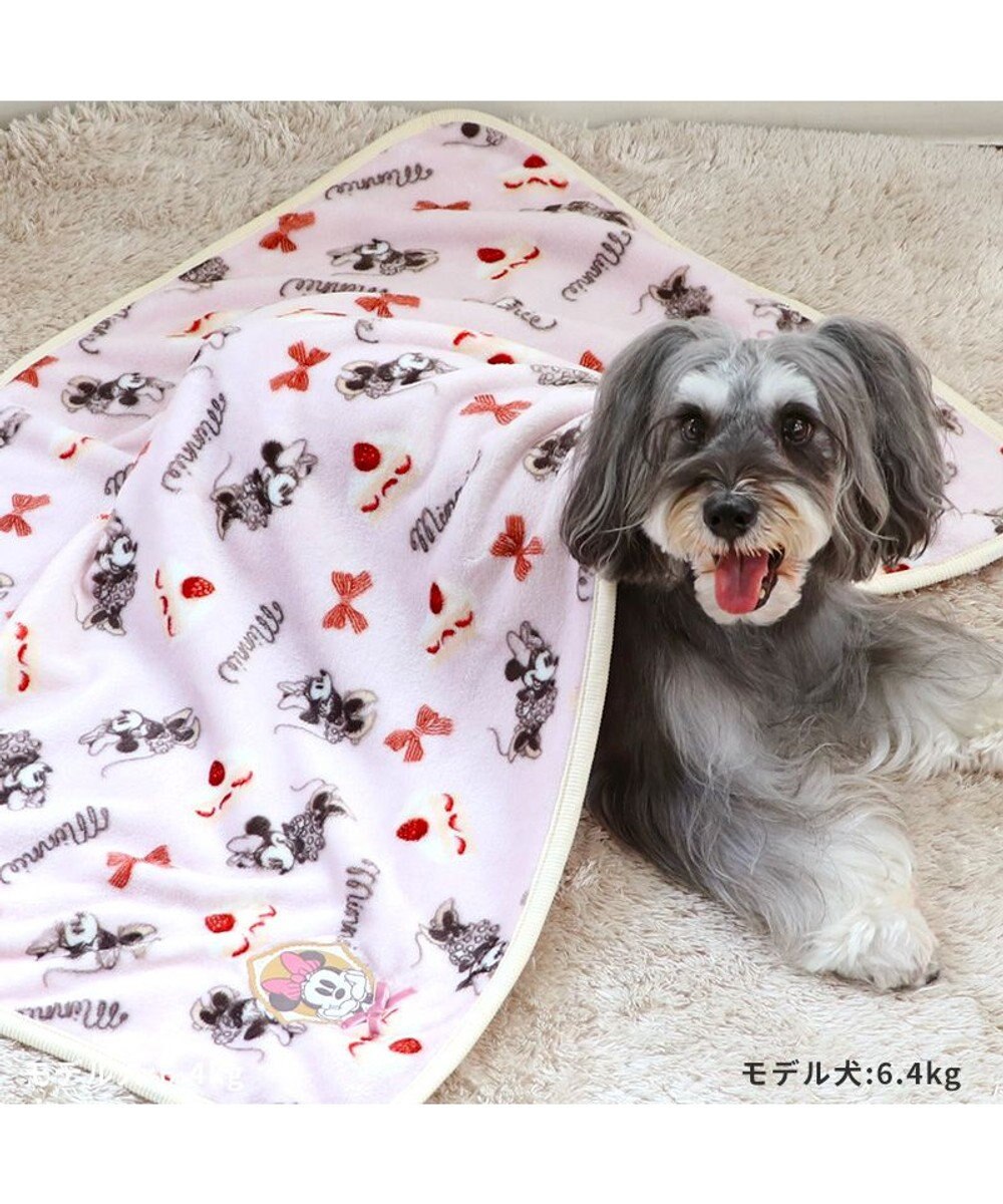 PET PARADISE ディズニー ミニー ケーキ ブランケット 90×60cm 