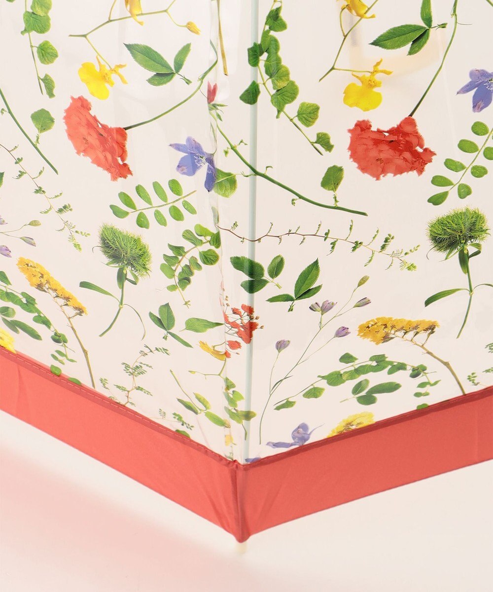 ANY SIS 【WEB限定】Plantica×Wpc.コラボ フラワー 長傘 