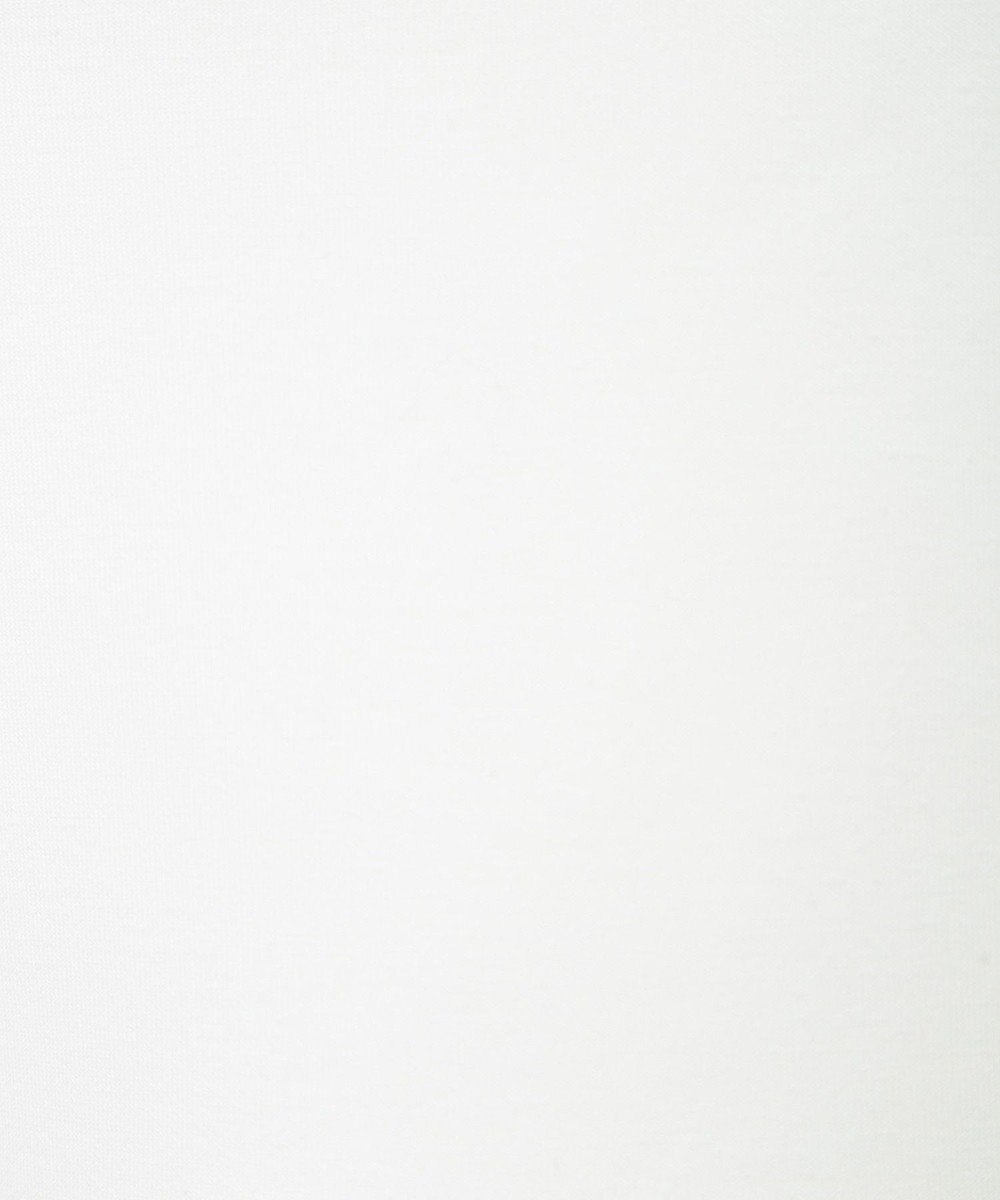 Green Parks １０ｔｈベイマックス／ハーフＺＩＰプルオーバー 