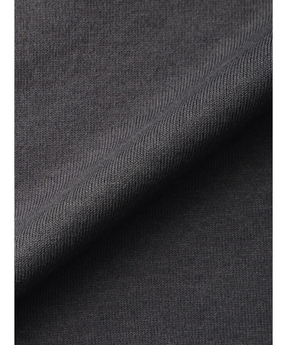 Green Parks ムジークタイガー／バックプリントＴシャツ 