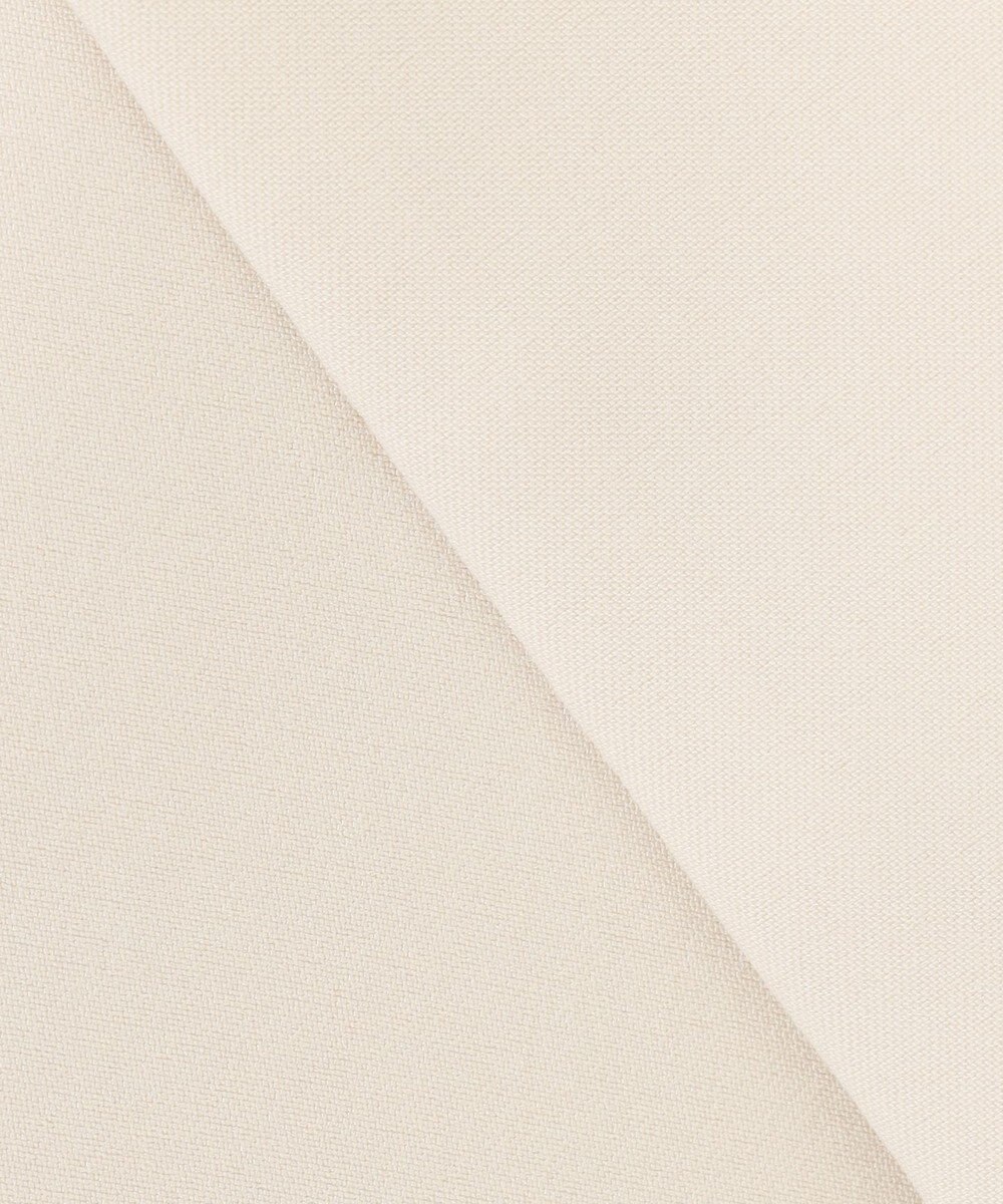 ANY SIS ノーカラーライト テロンチ 