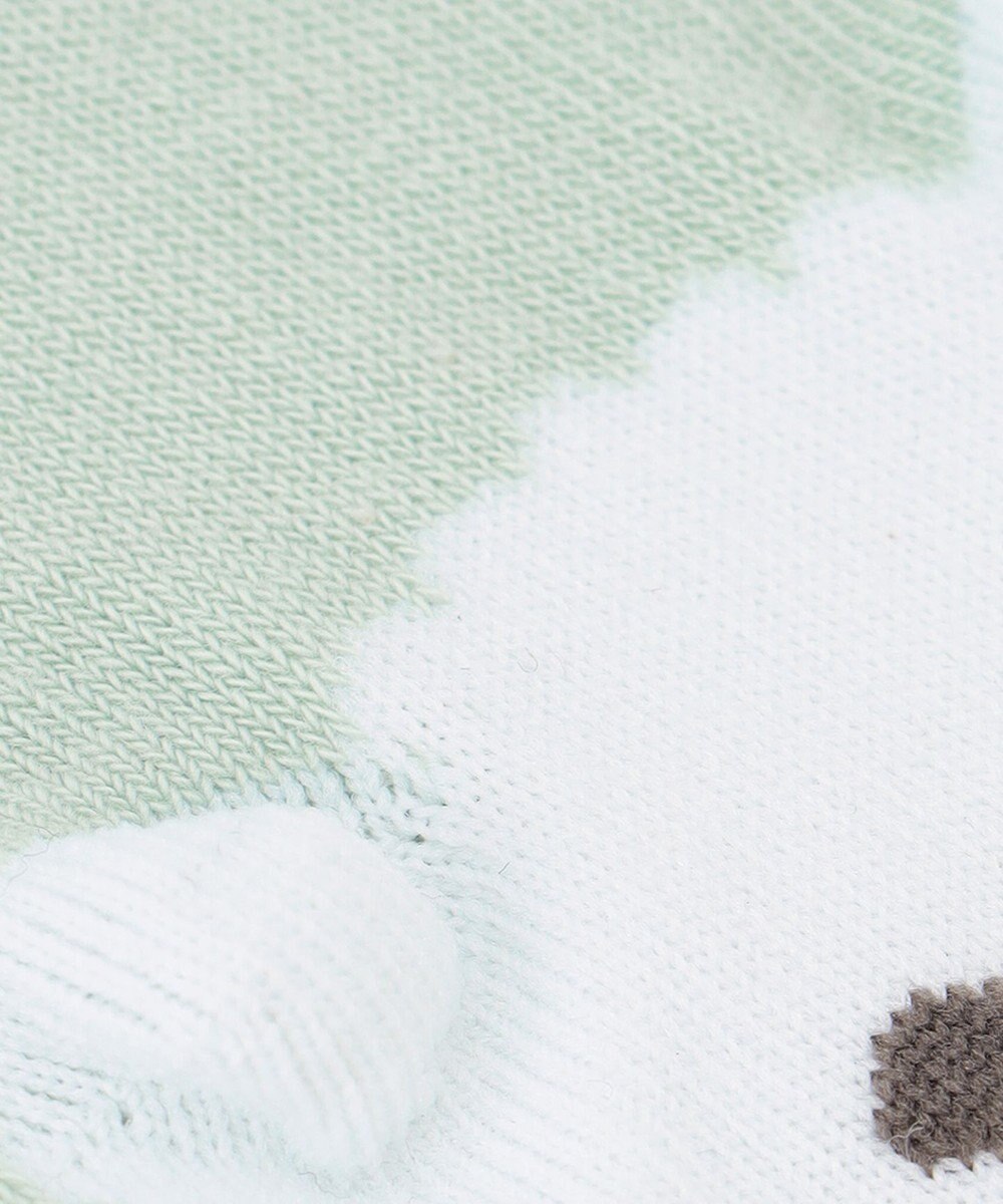 ANY KIDS 【3点セット】ソックス（アニマルセット） 