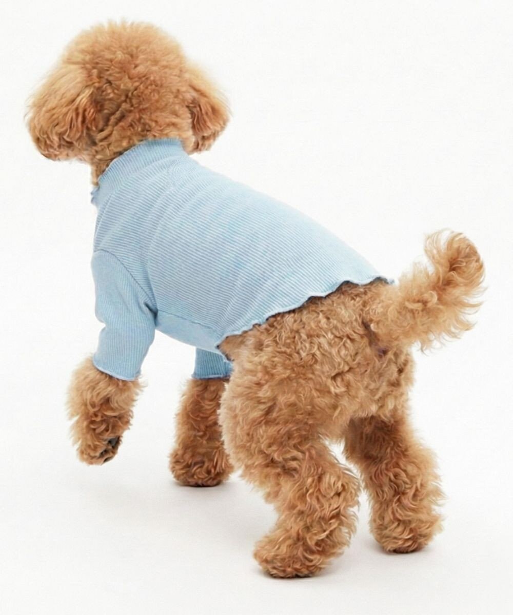 OP／FILA 【Ocean Pacific】メロウドッグウェア ペットウェア 