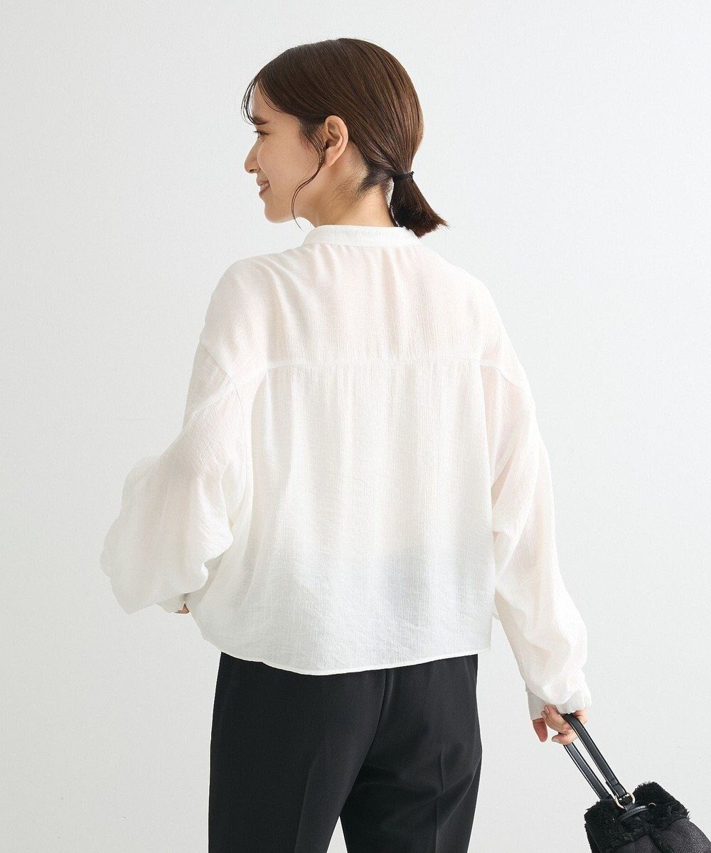 Green Parks シアーフリルショート丈ブラウス 