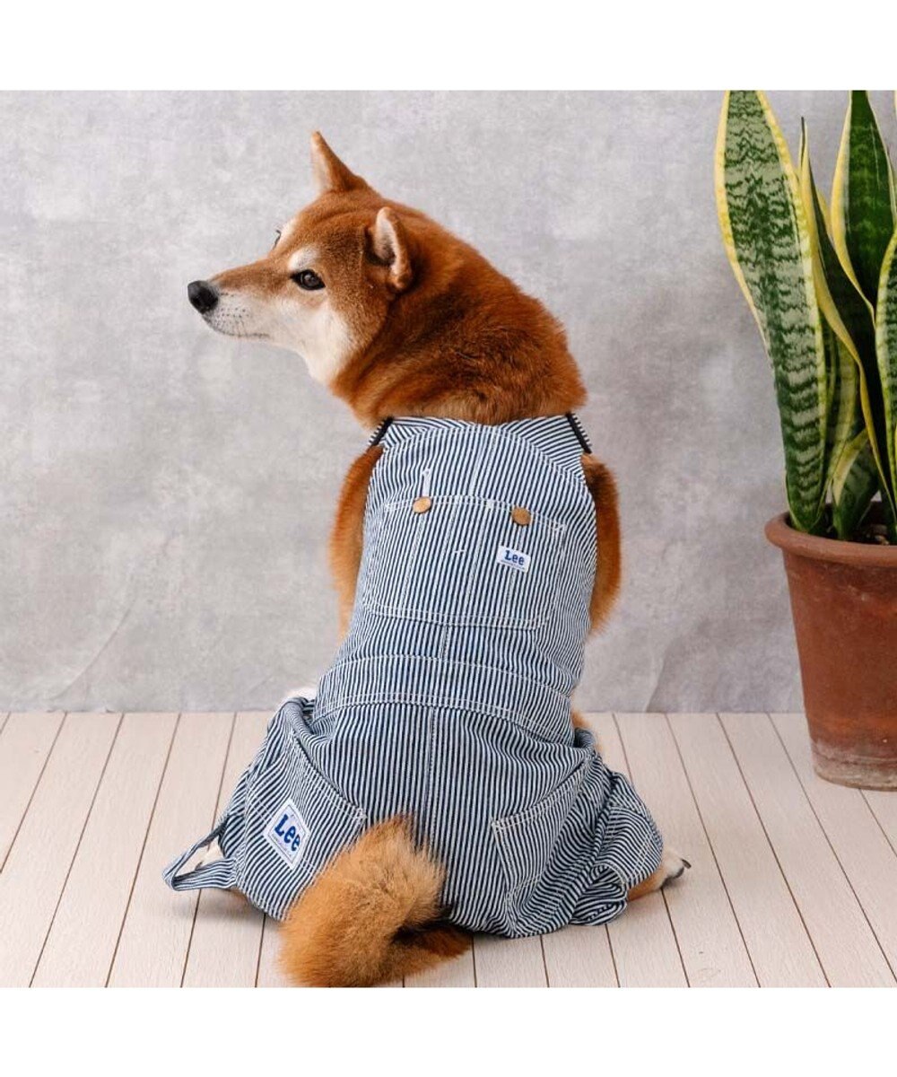 PET PARADISE Lee ヒッコリー オーバーオール 中型犬 大型犬 