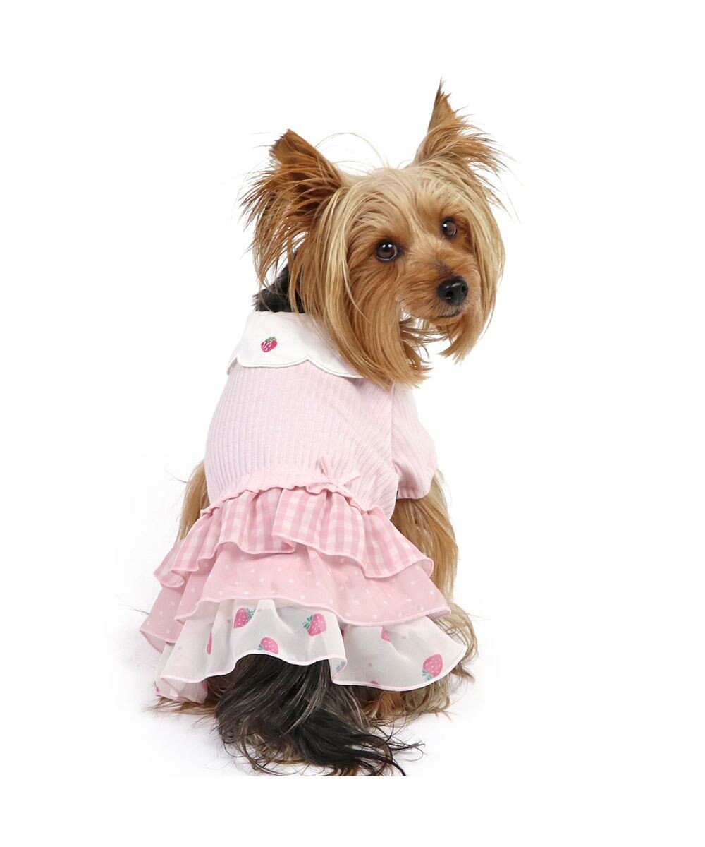 PET PARADISE ペットパラダイス 苺刺繍 ワンピース  スカラップカラー《ピンク》 小型犬 