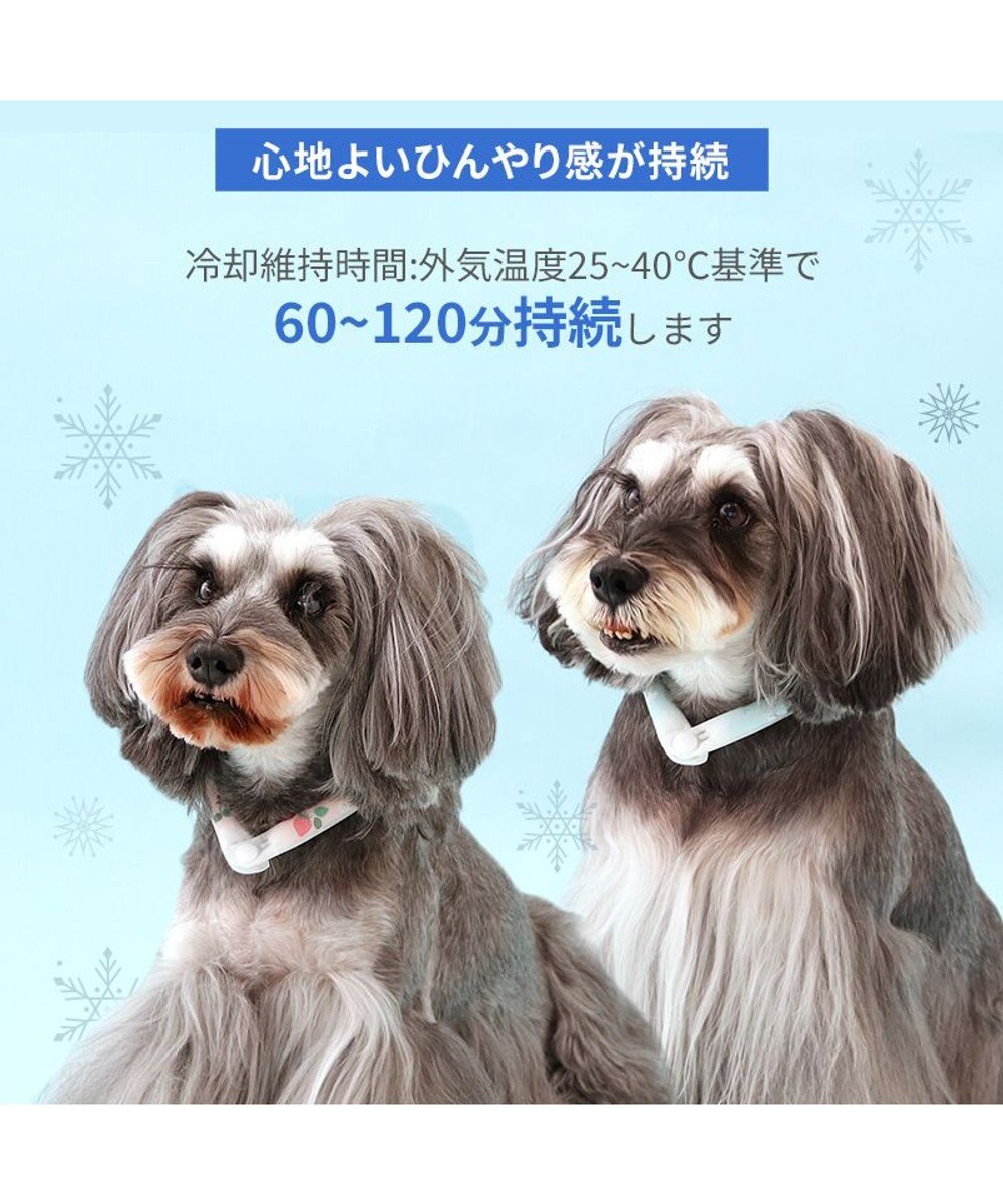 PET PARADISE ペットパラダイス 28℃クールリング SUO 《いちご柄》 〔Ｍ〕 中型犬 