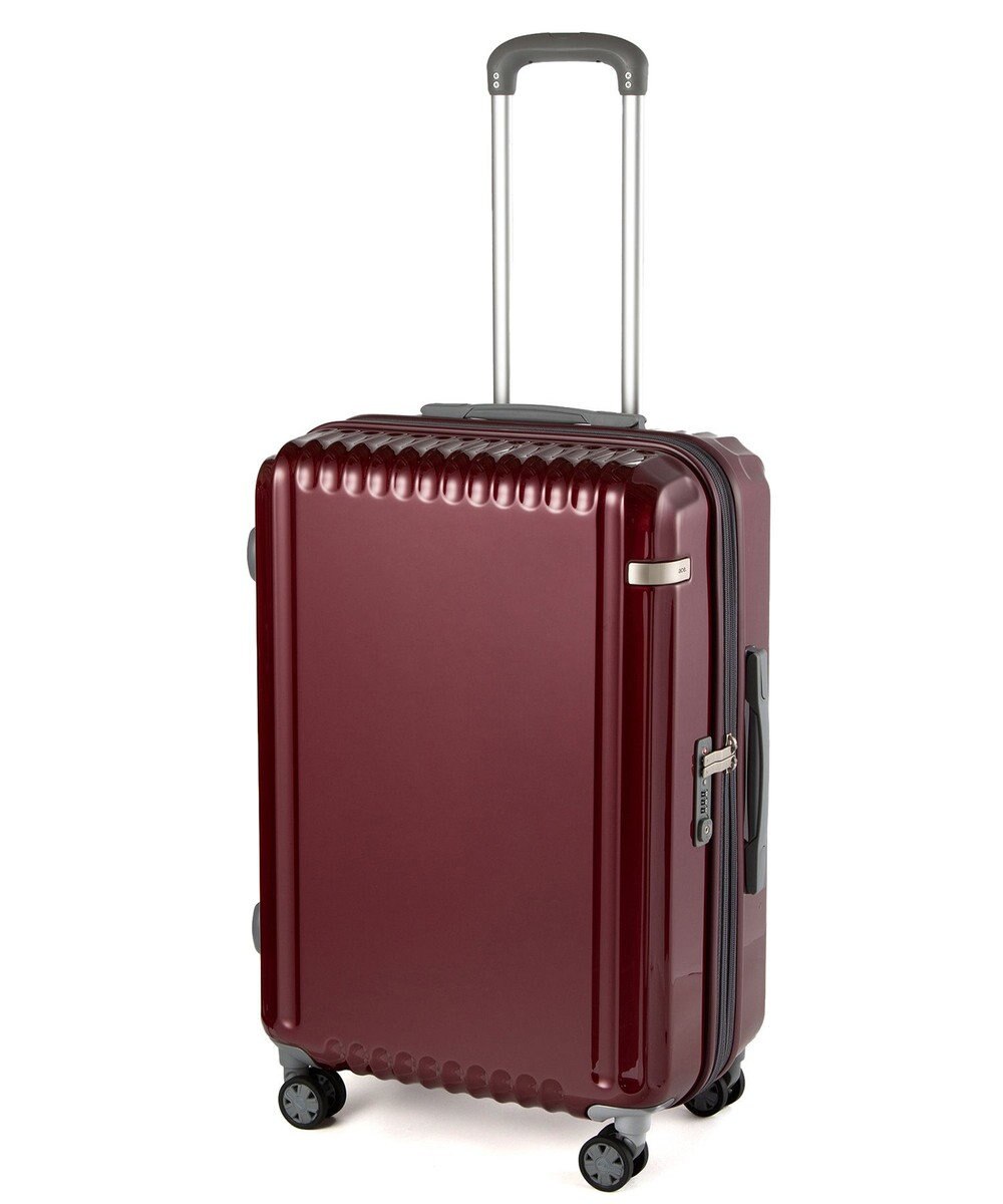 ACE BAGS & LUGGAGE ace. パリセイドZd Mサイズ 59～70L 06818 エース 