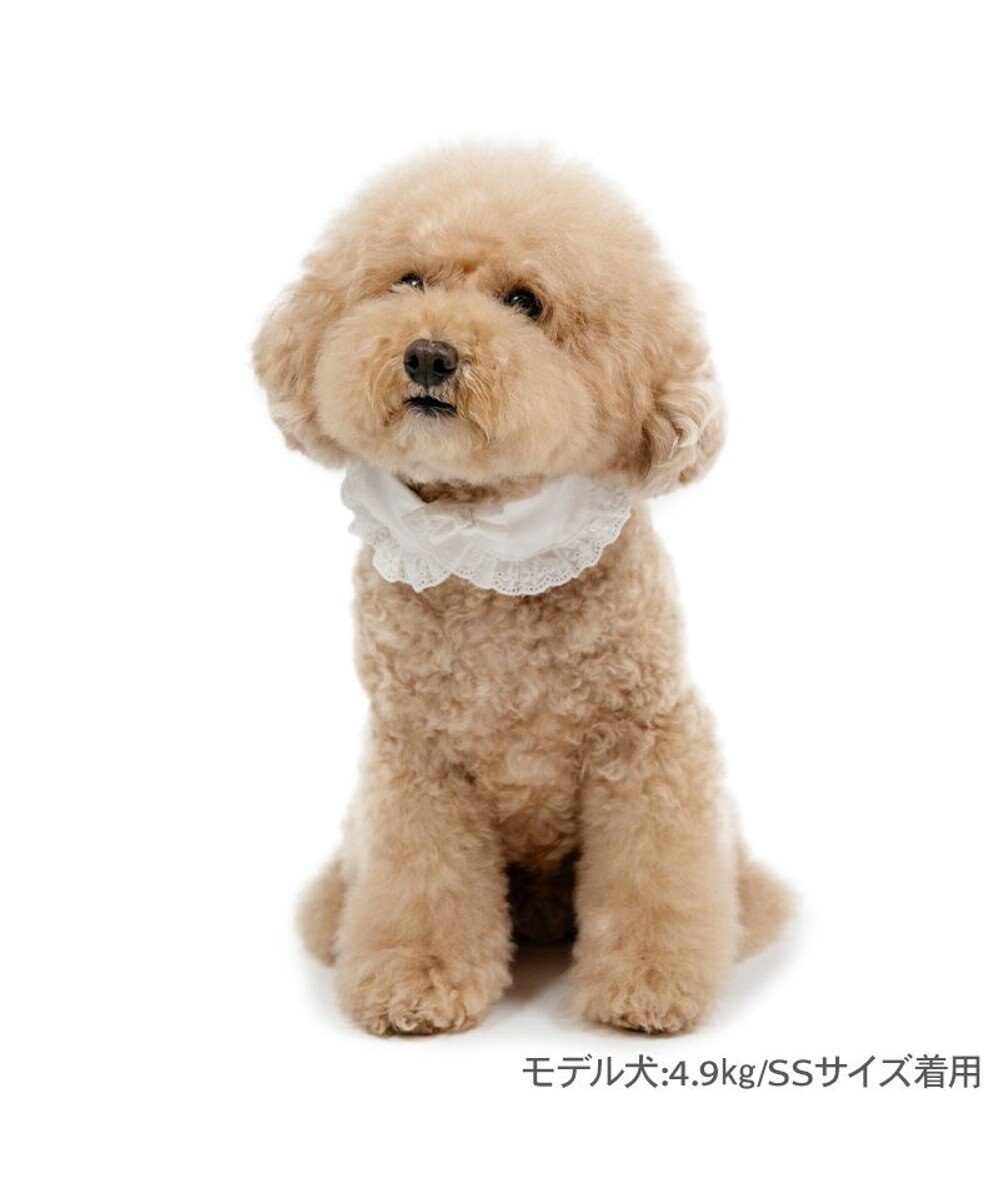 PET PARADISE ペットパラダイス コットンレース首輪 S 
