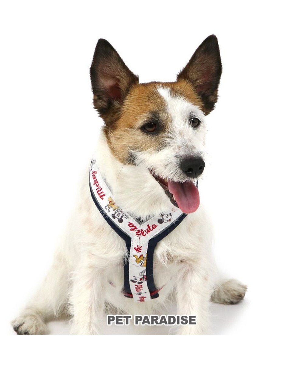PET PARADISE ディズニー アクティブハーネス 【ＳＳ】 小型犬 -
