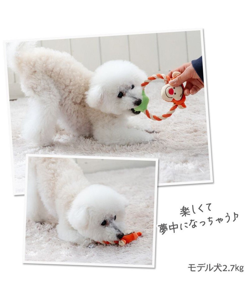 PET PARADISE ディズニー くまのプーさん ロープ おもちゃ 《プーさん/ピグレット/ティガー》 