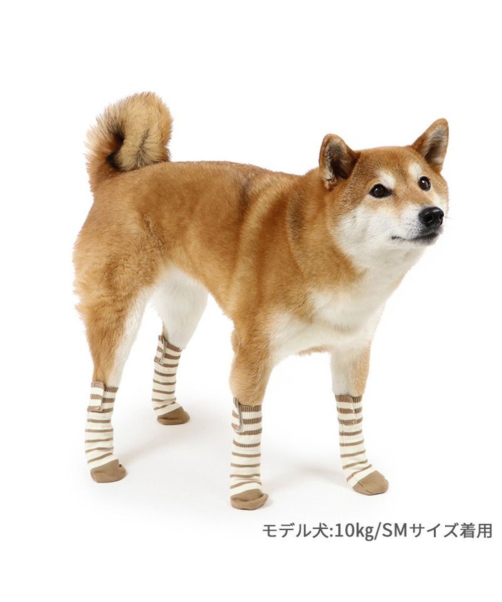PET PARADISE ペットパラダイス makokoro スリット 靴下  《ボーダー》 ＳＭ 中型犬 
