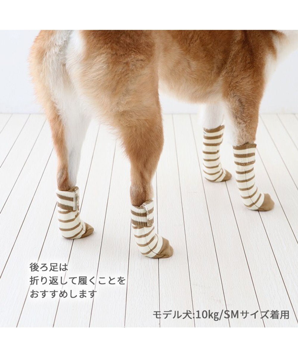 PET PARADISE ペットパラダイス makokoro スリット 靴下  《ボーダー》 ＳＭ 中型犬 