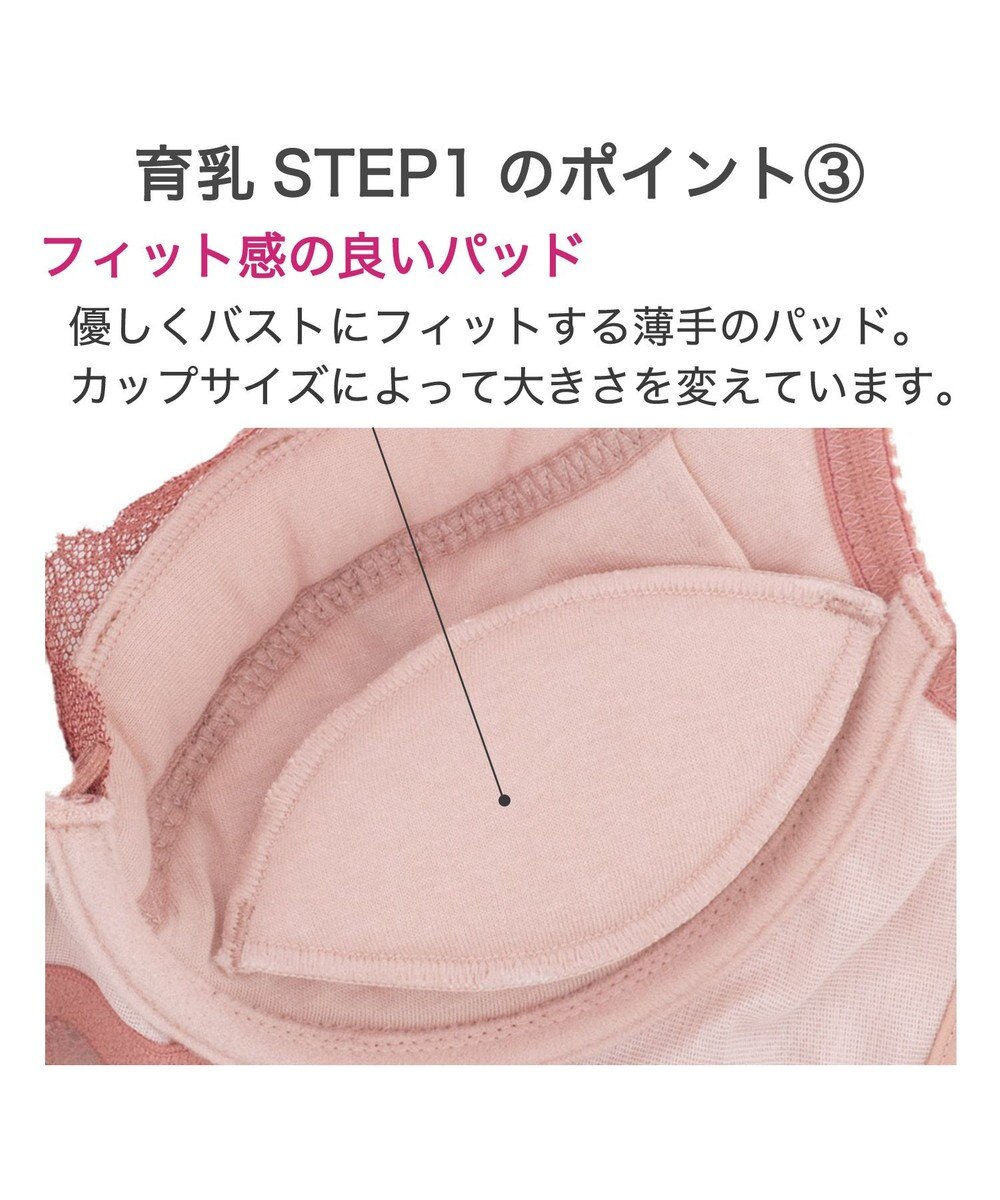 BRADELIS New York 【BRADELIS New York / 育乳補整ブラ・STEP1 集める】ウェンディステップ1ブラ24S1 脇のお肉もふんわり包んで補正するブラ 