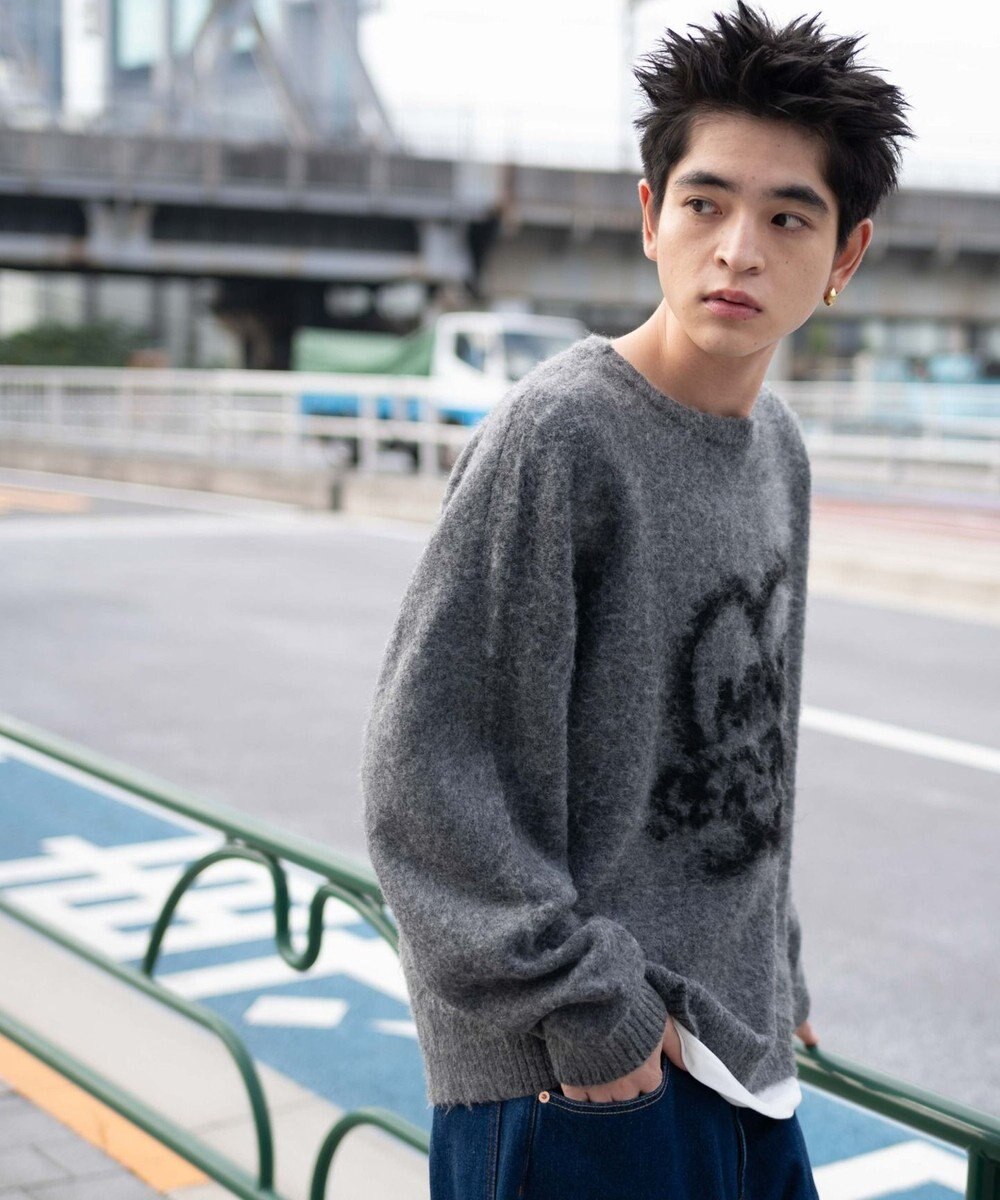 WEGO 【ユニセックス着用ITEM/MLサイズ展開】シャギーグラフィックプルオーバー 