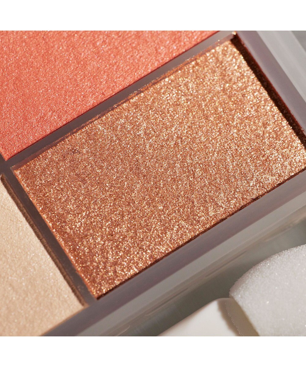 Chacott Cosmetics フェイスカラーパレット【508】愛されブラウン 