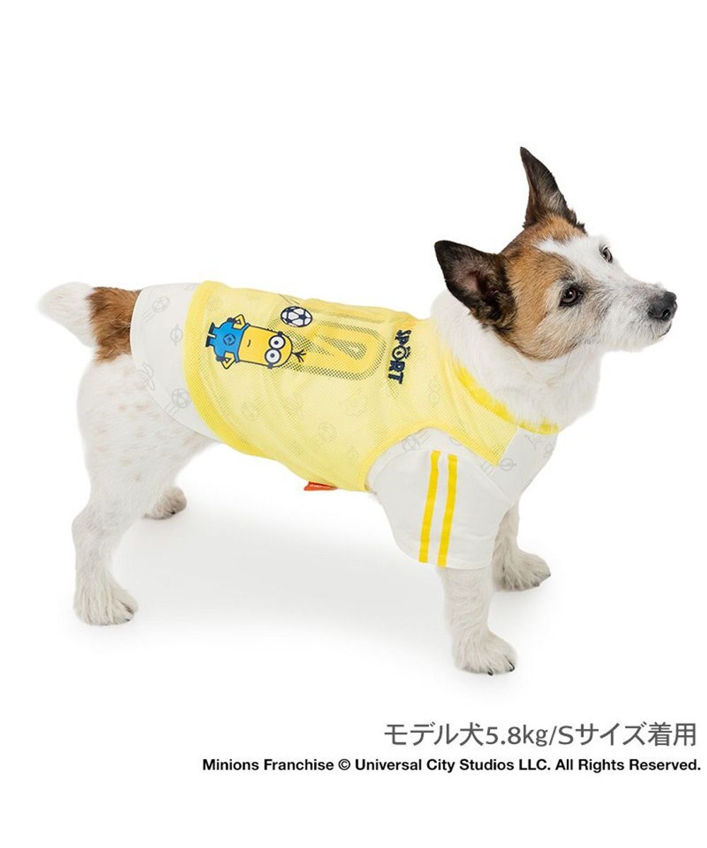 PET PARADISE ミニオン クールＴシャツ 《スポーツ柄》 小型犬 