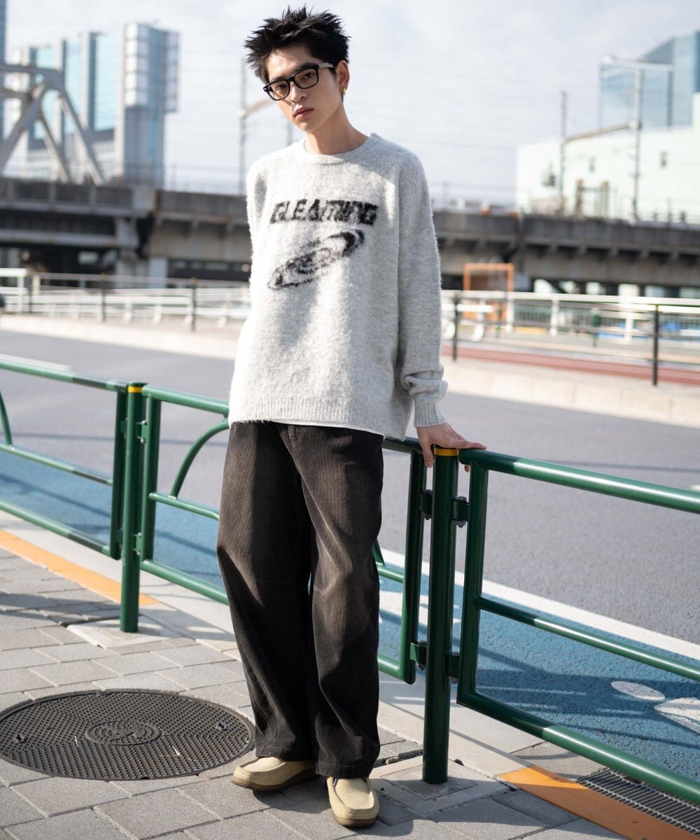 WEGO 【ユニセックス着用ITEM/MLサイズ展開】シャギーグラフィックプルオーバー 