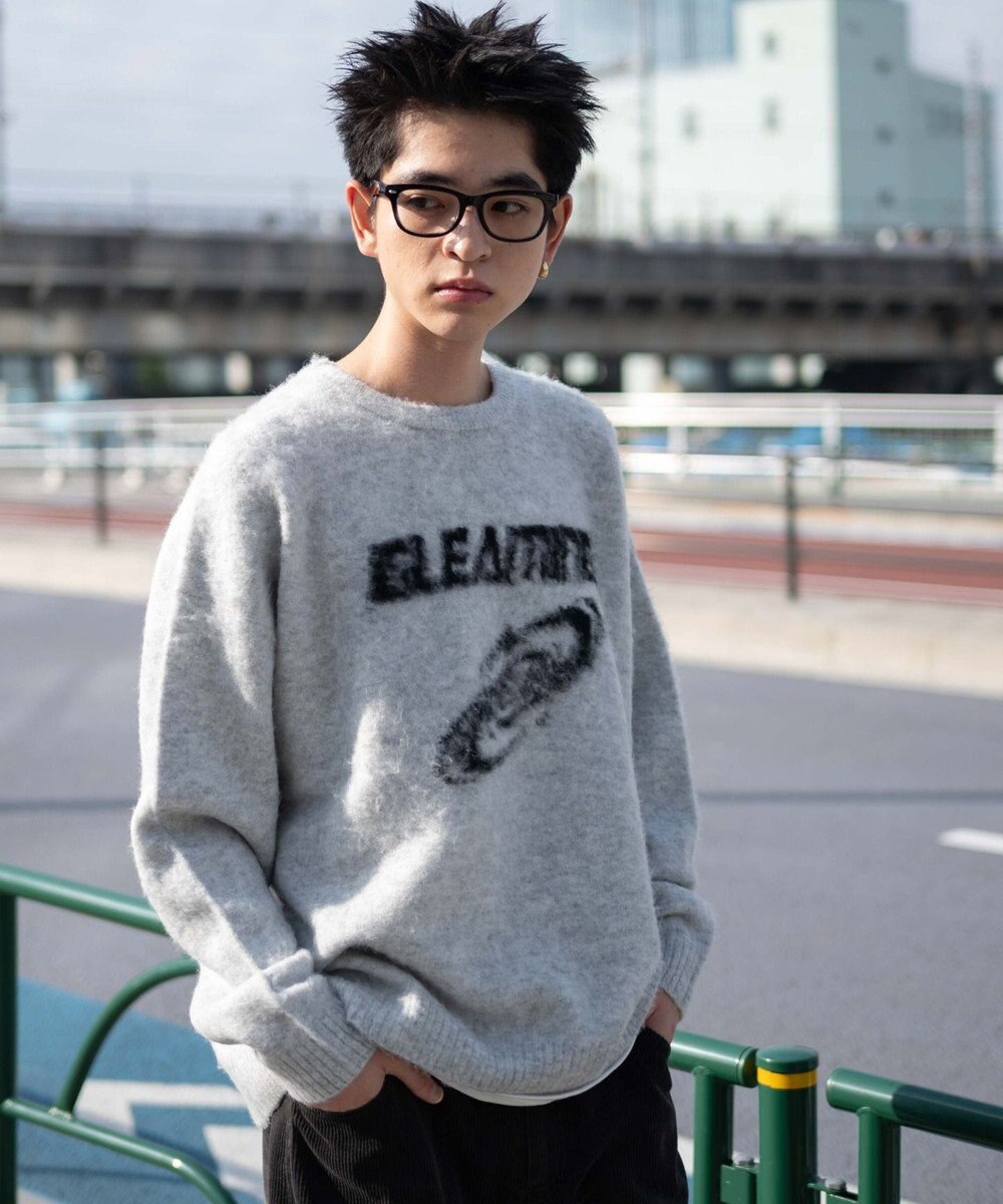 WEGO 【ユニセックス着用ITEM/MLサイズ展開】シャギーグラフィックプルオーバー 