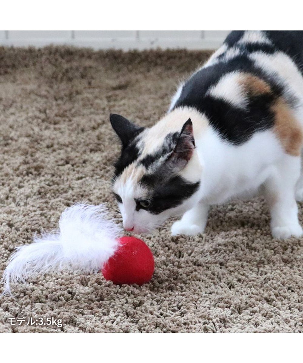 PET PARADISE ペットパラダイス 猫 羊毛ボール 羽付き 【単品】 