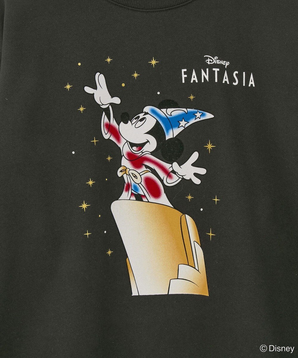 Green Parks ＦＡＮＴＡＳＩＡ／フロッキープリントスウェット 