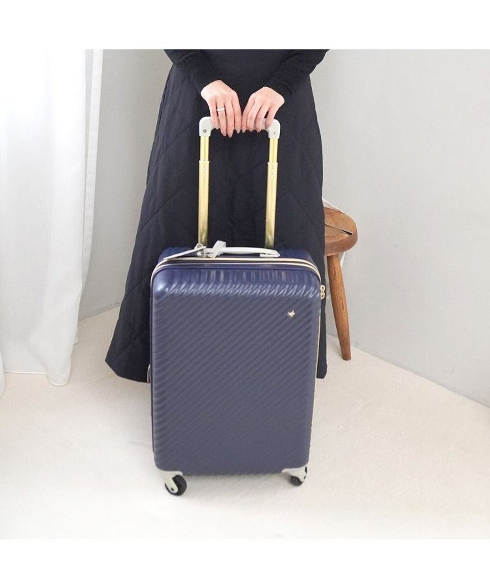 ACE BAGS & LUGGAGE 【雑誌掲載】 HaNT×Jewelna Rose コラボ スーツケース 機内持ち込み 06821 ハント ジュエルナローズ 