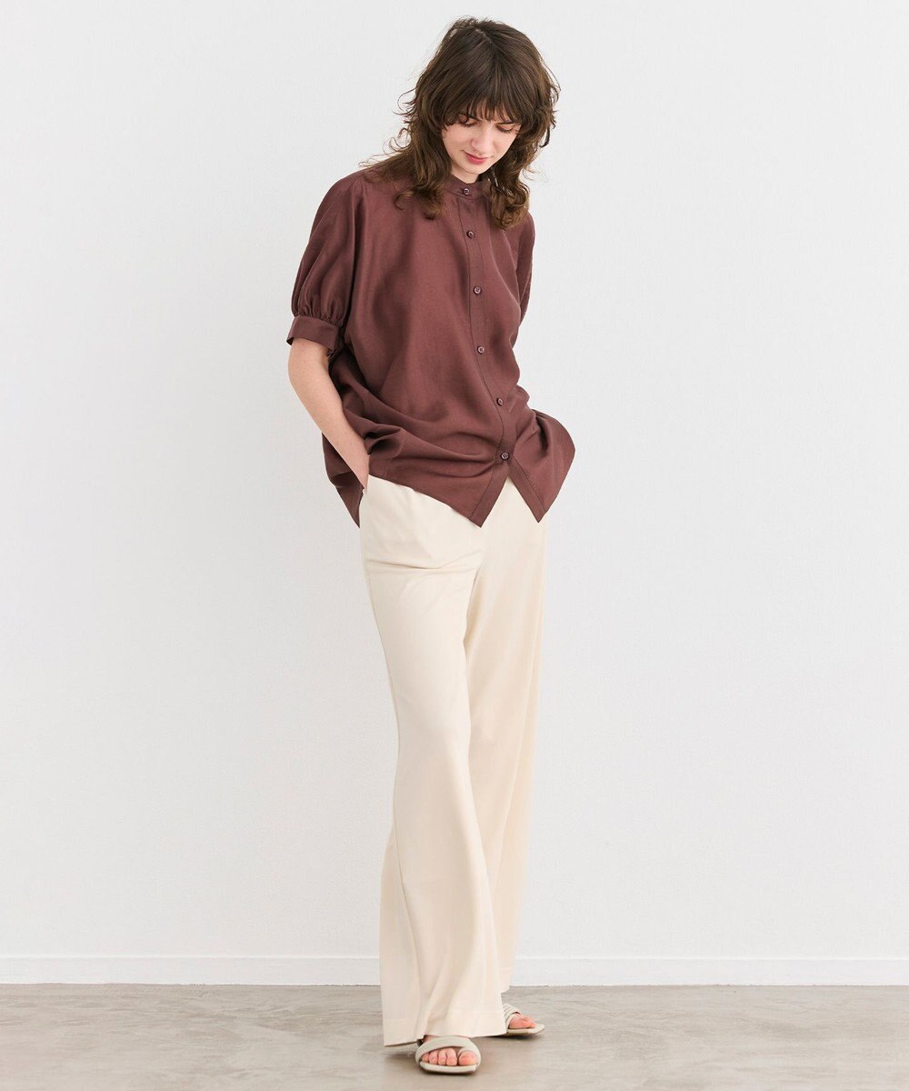 BEIGE， 【洗える】AMARYLLIS / シアーパフオーバーサイズブラウス 