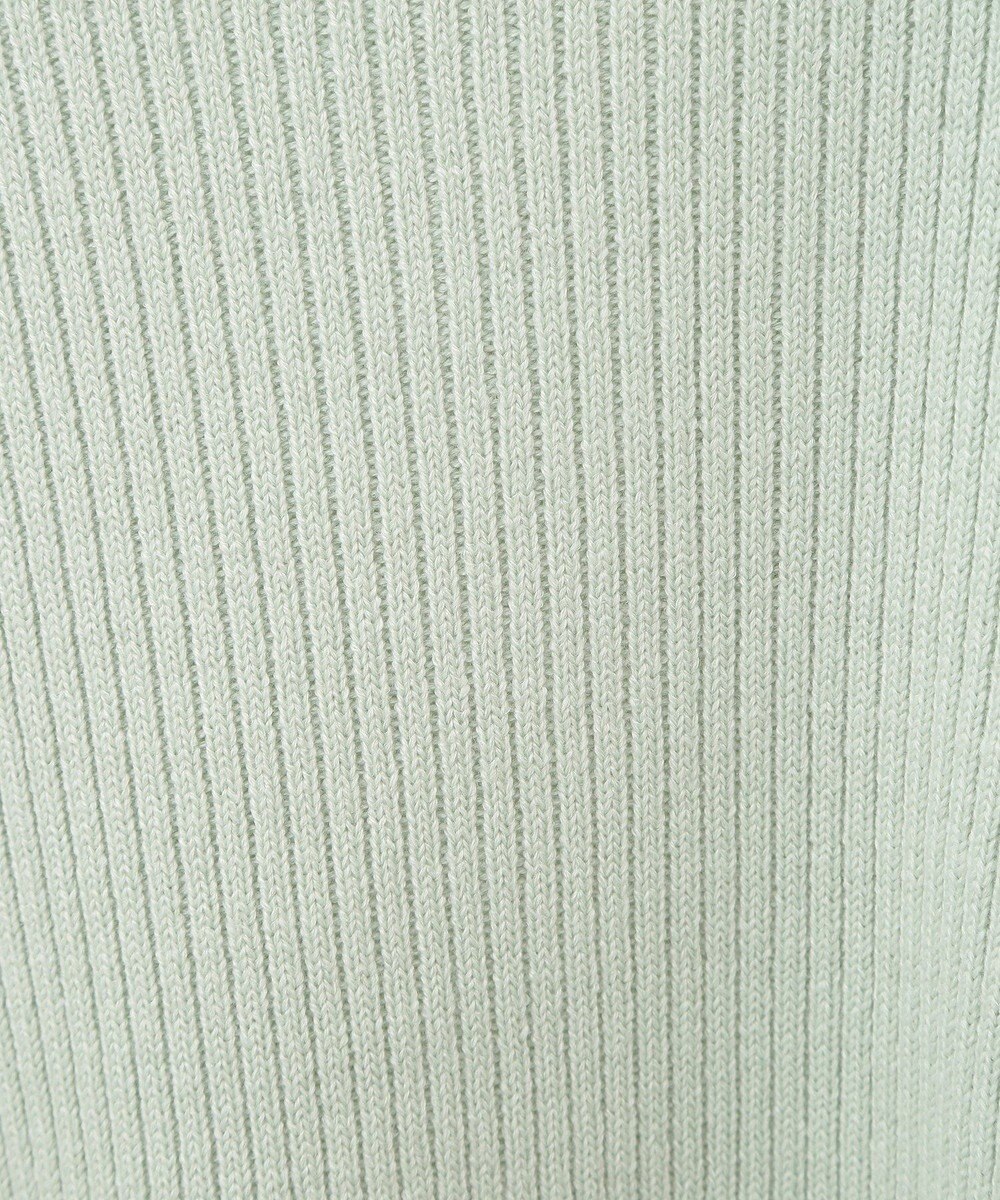 Green Parks 洗えるボトルネックリブニットプルオーバー 