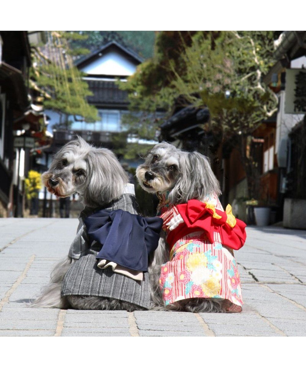PET PARADISE ペットパラダイス 黒白 浴衣 とんぼ刺繍 小型犬 