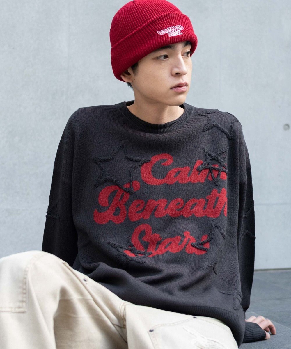 WEGO 【ユニセックス着用ITEM】パイルジャガードプルオーバー 