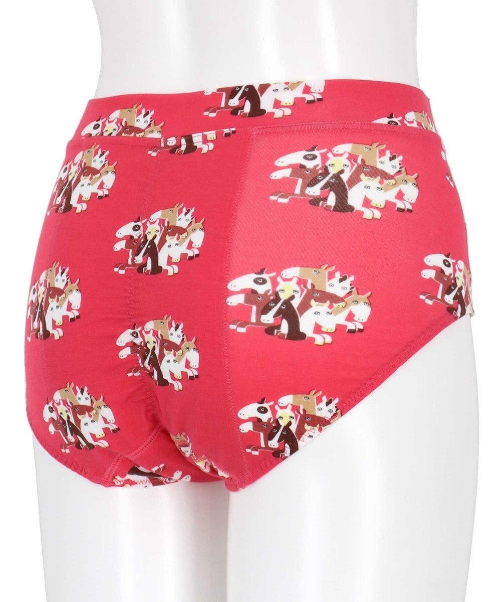 une nana cool 2026年お年賀「まるっとうまくいく」 ナイト用サニタリーショーツ 