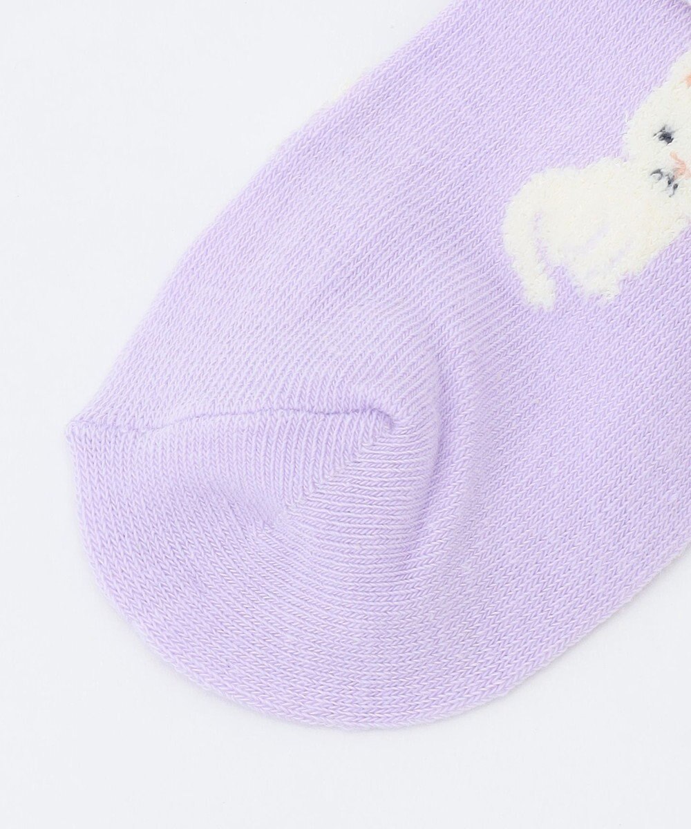 ANY KIDS 【3点セット】ソックス （ネコ・リボン） 