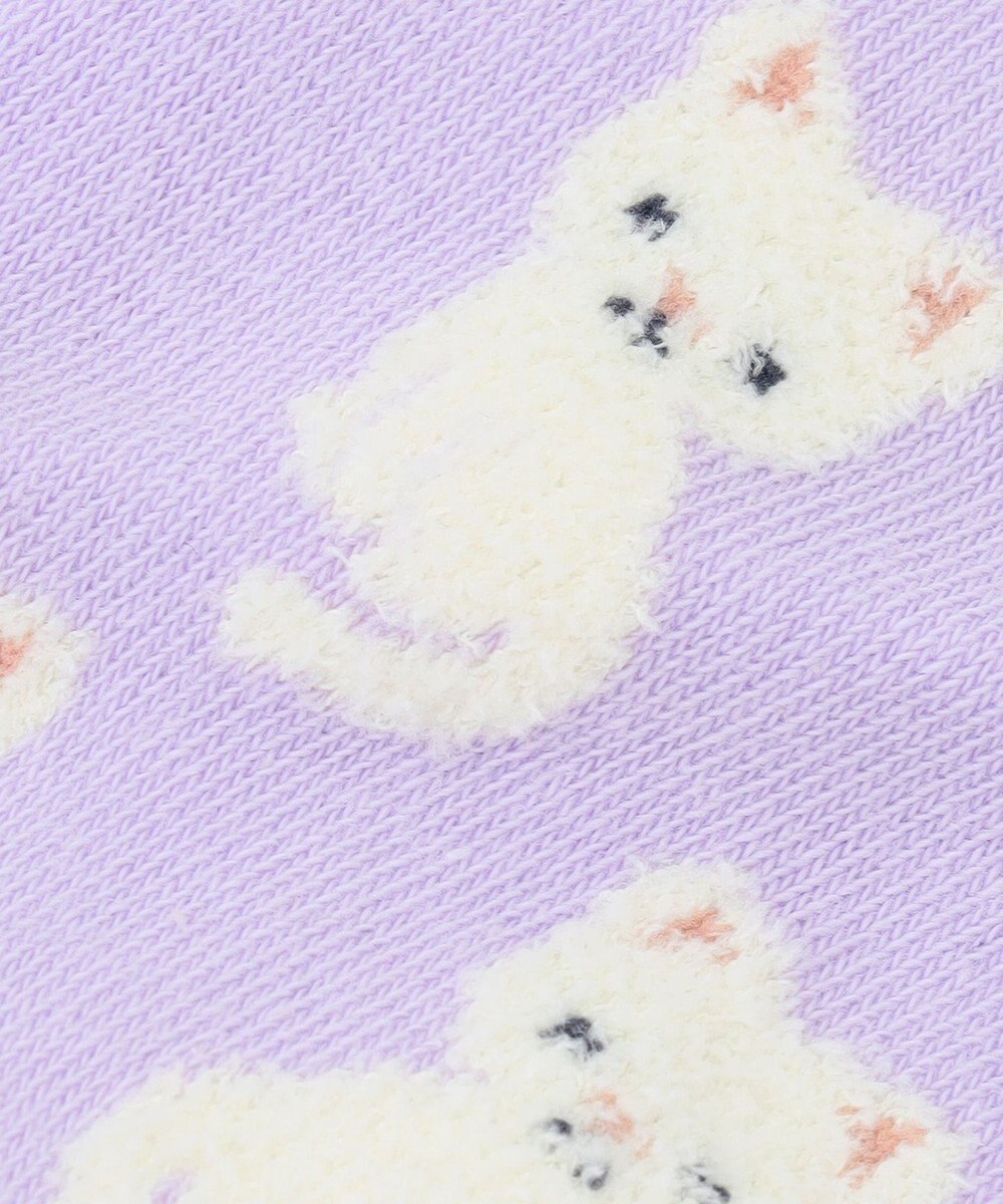 ANY KIDS 【3点セット】ソックス （ネコ・リボン） 