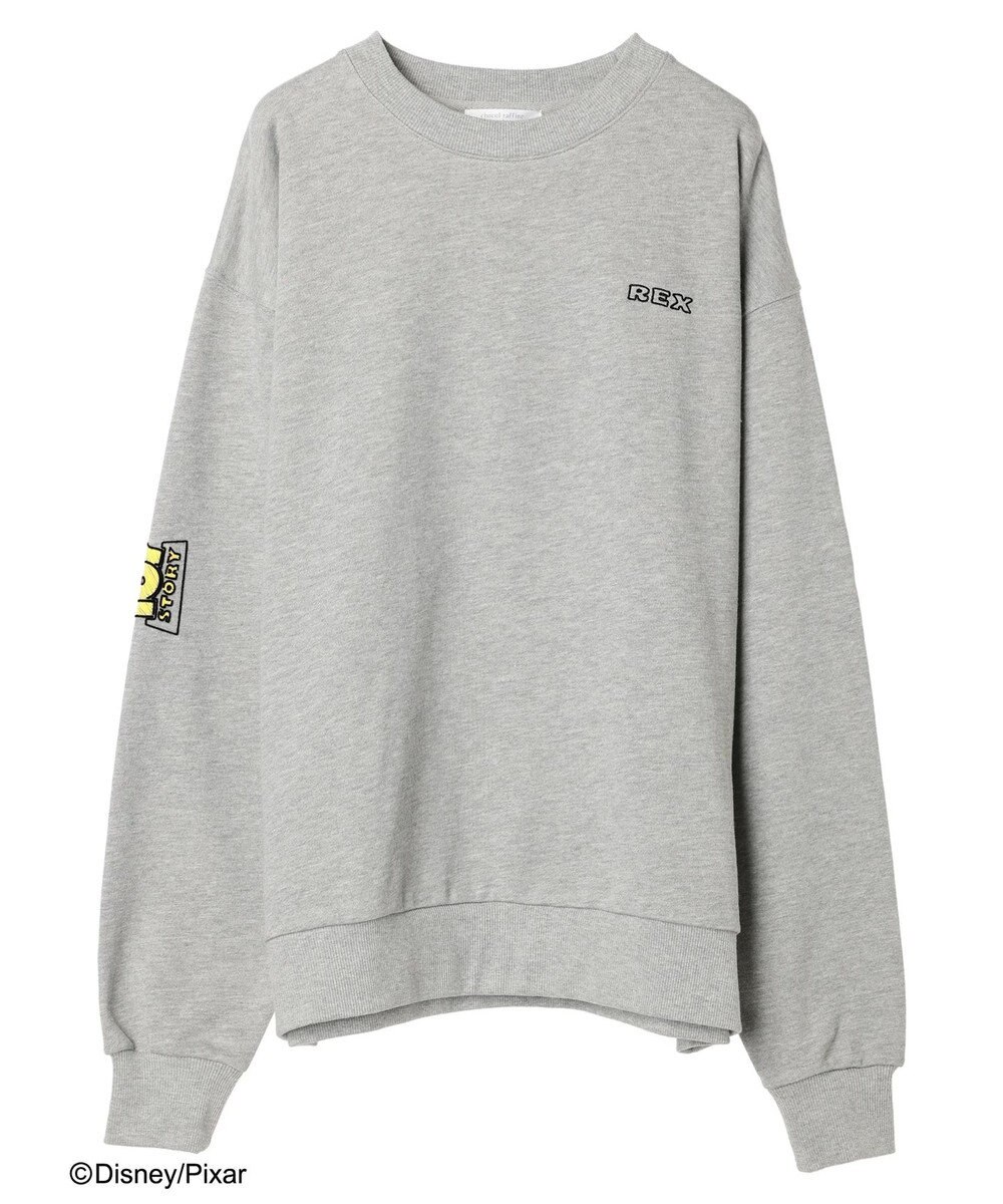 Green Parks ＴＯＹ　ＳＴＯＲＹ／バックプリント裏毛プルオーバー 