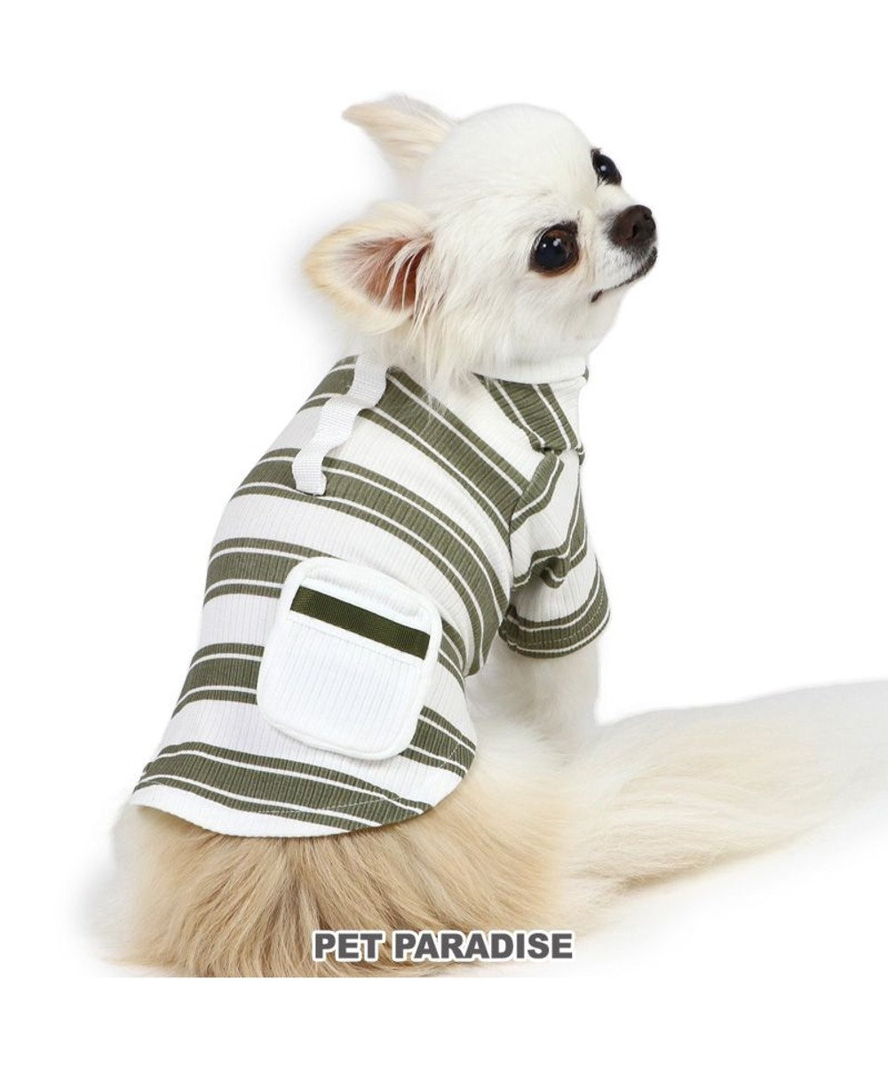PET PARADISE ペットパラダイス 縞のびのびリブＴシャツ 小型犬 グリーン