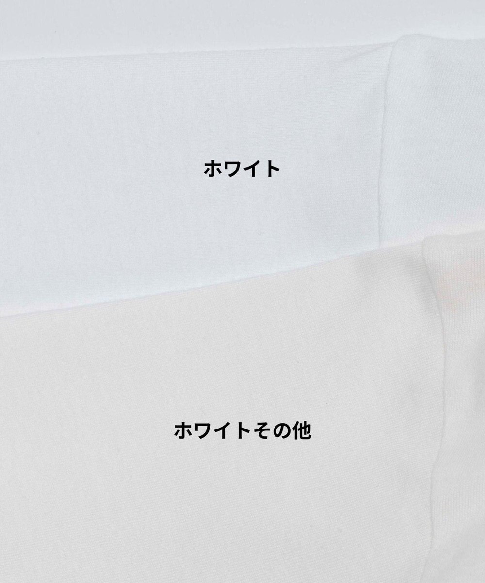 WEGO 【ユニセックス着用ITEM/綿100％/SMLXLサイズ】ビックコットンT 