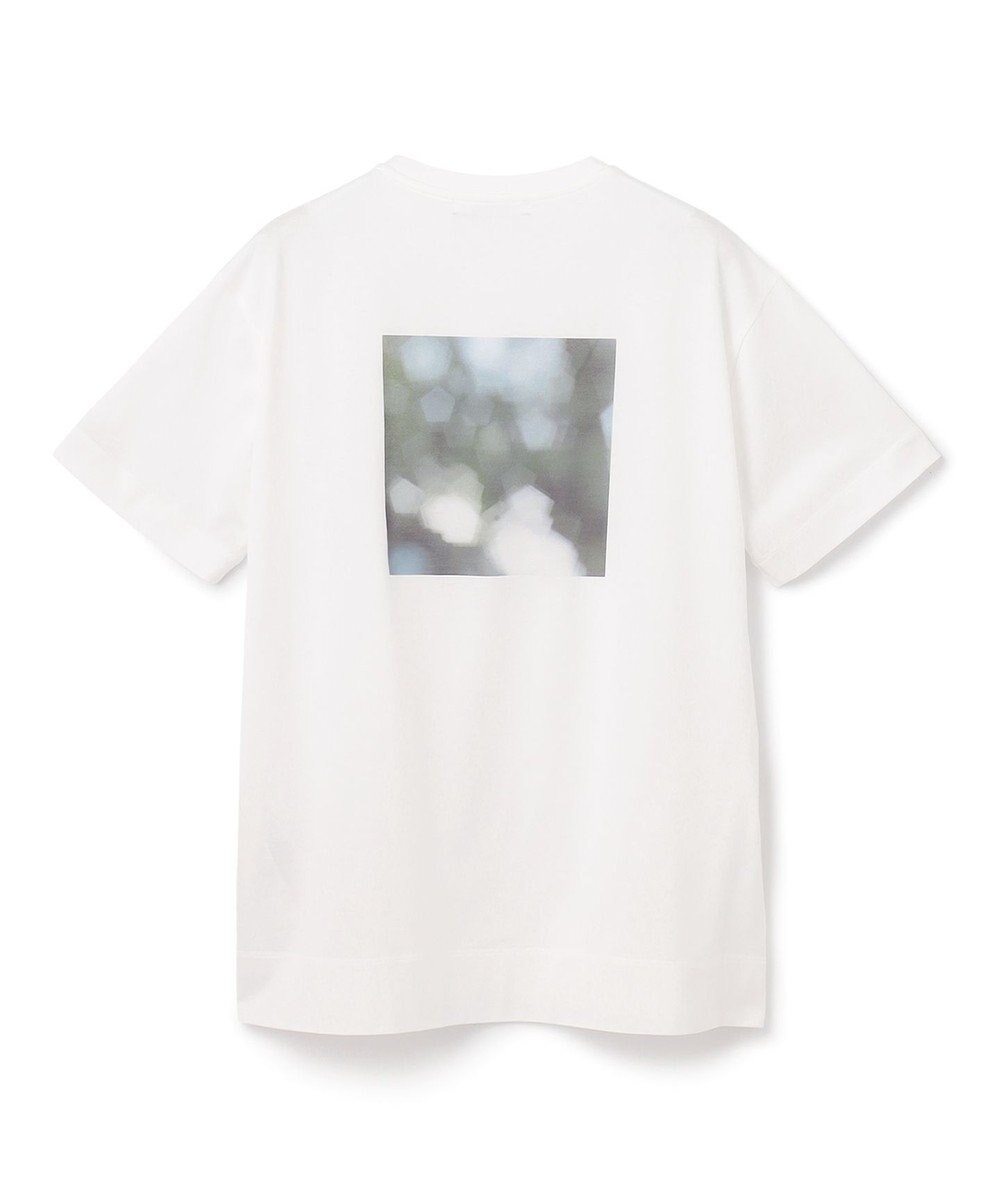 BEIGE， ARMAND / Tシャツ 