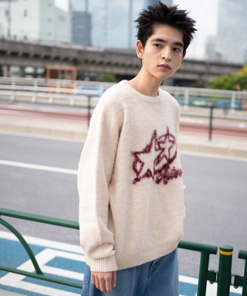 WEGO 【ユニセックス着用ITEM/MLサイズ展開】シャギーグラフィックプルオーバー 