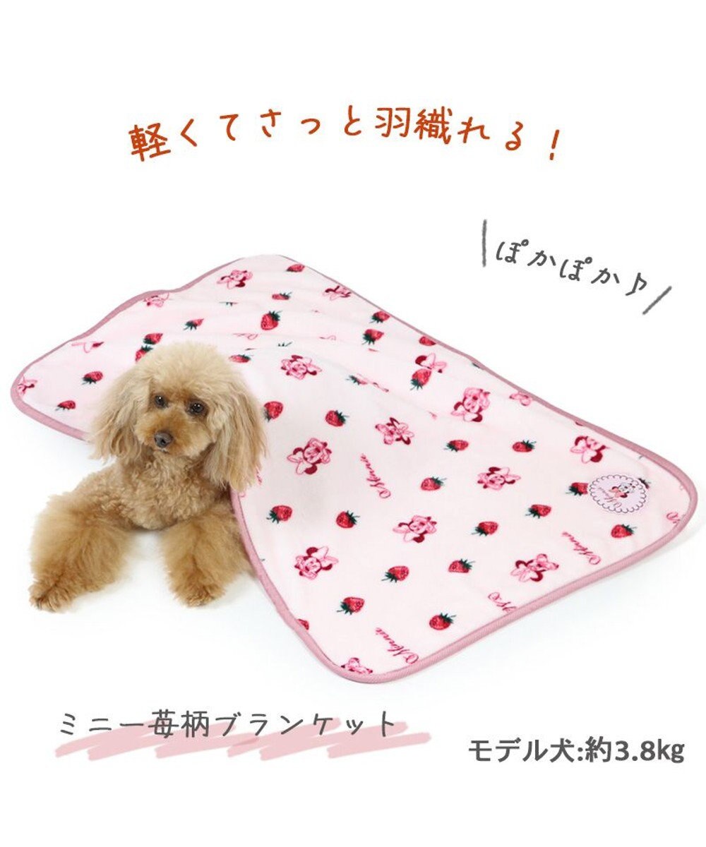 犬 毛布 ディズニー ミニーマウス ブランケット (90×60cm) 苺柄 / PET