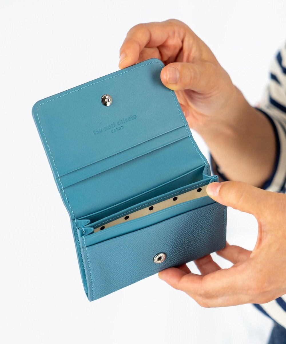 tsumori chisato CARRY ラックスtcネーム 名刺入れ 