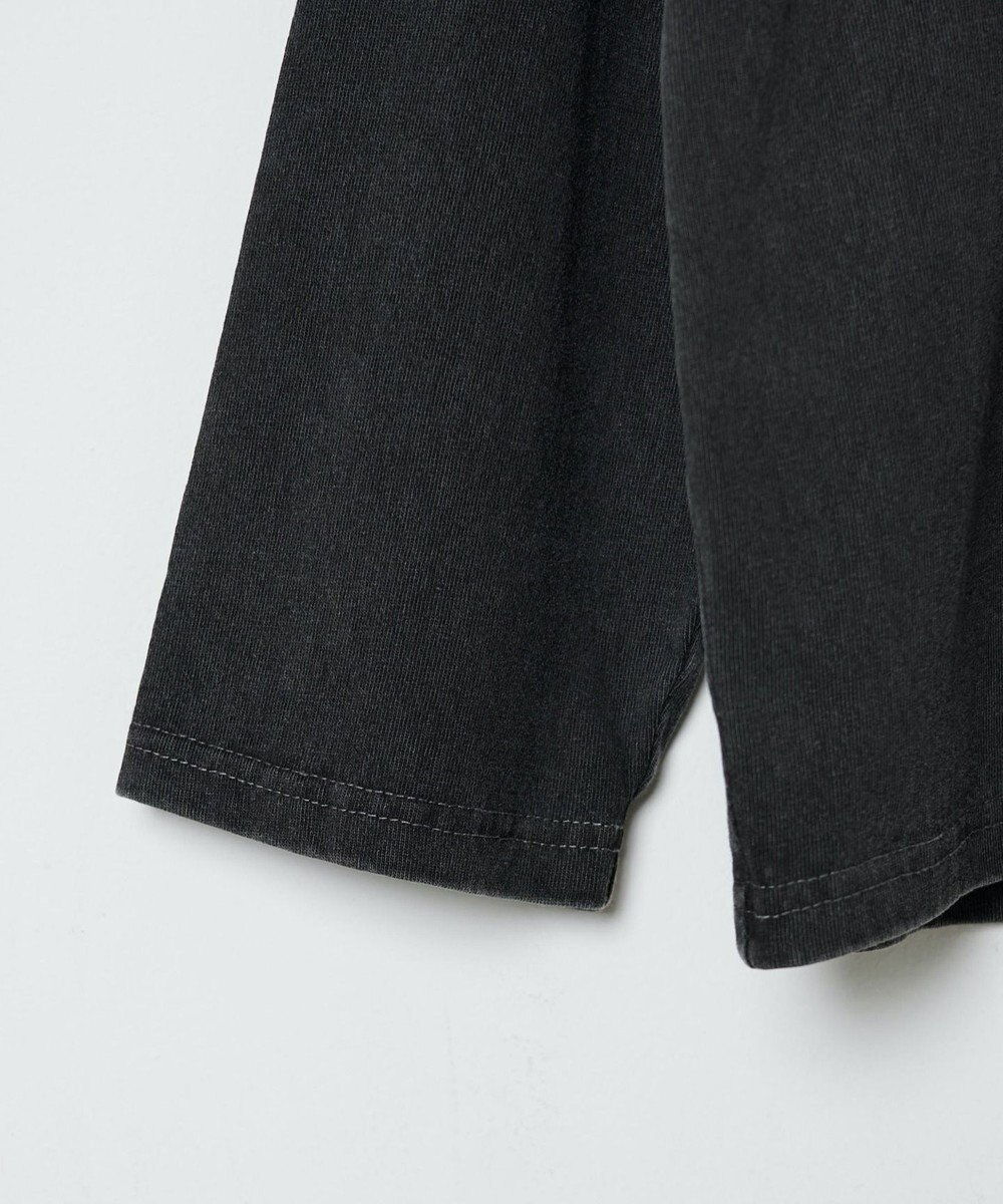 WEGO ピグメントロンT 