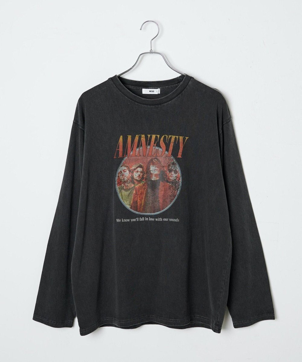 WEGO ピグメントロンT 