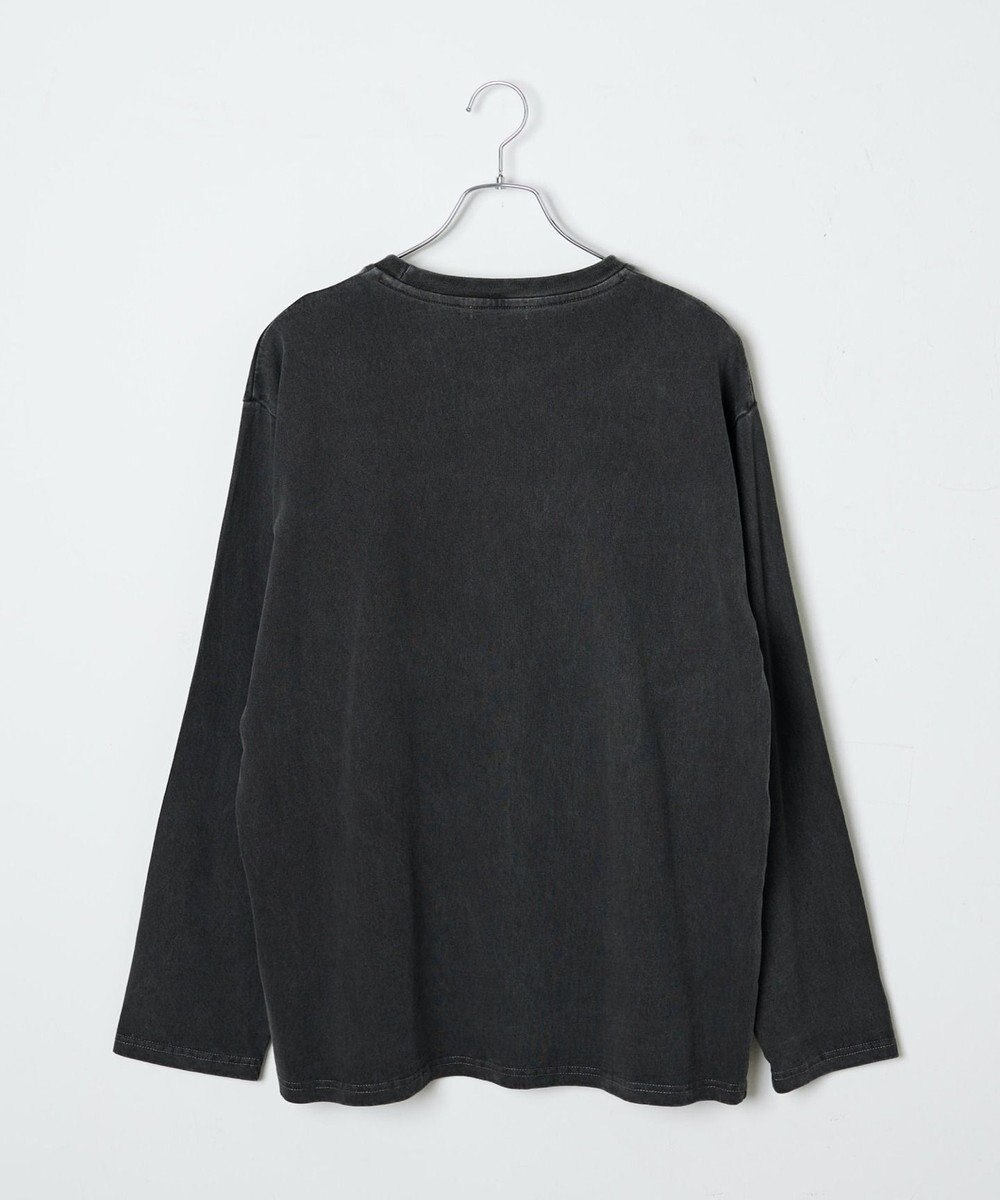 WEGO ピグメントロンT 