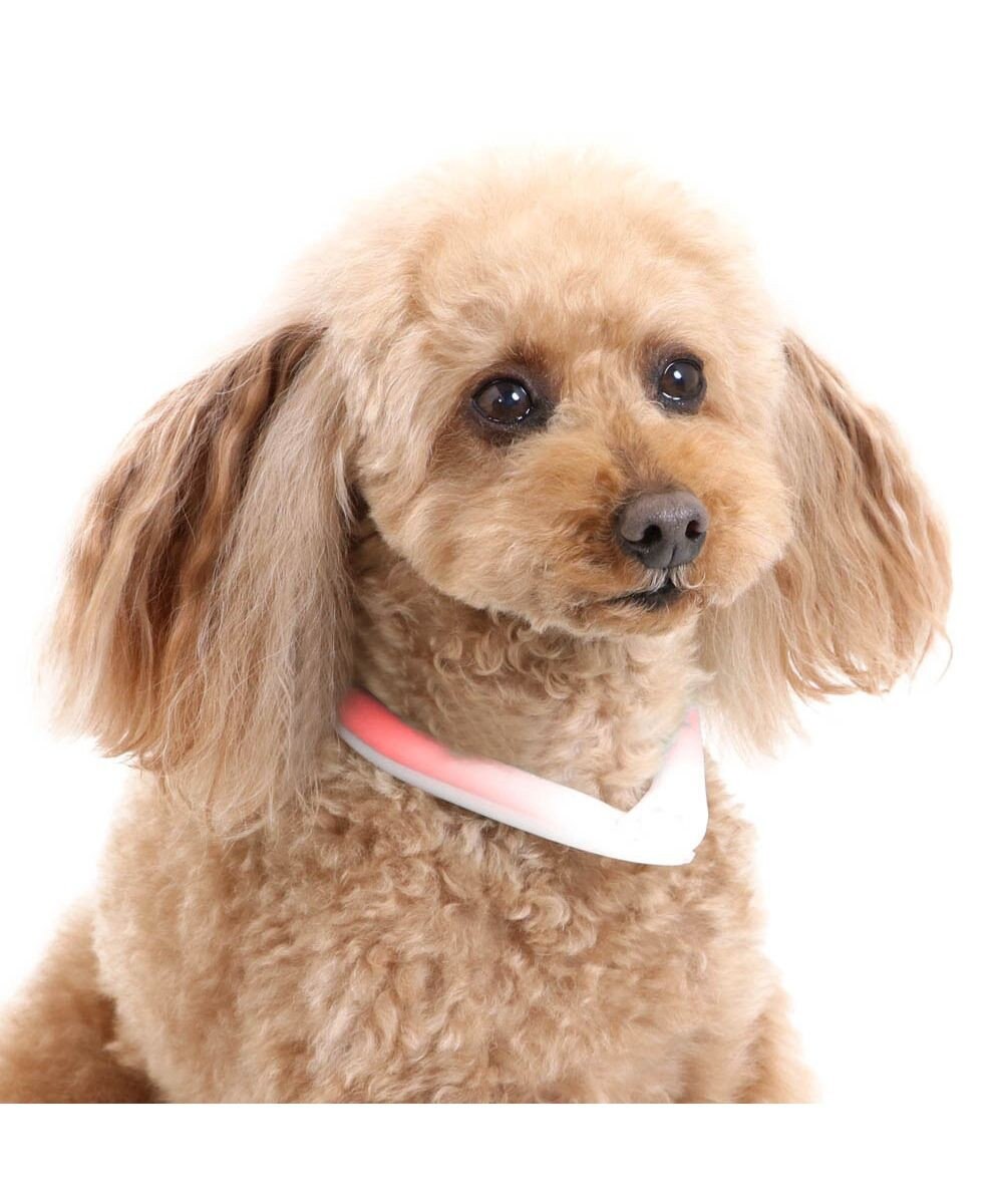犬 ひんやり 28 ss 小型犬 ネッククーラー 繰り返し 何度も使える ネック クール 冷感 お散歩 アイシング 首もと冷却 暑さ対策 熱中症対策 夏 ひんやり バンダナ 首掛け 涼感 冷却 ひえひえ ボタン付き ブルー ピンク Pet Paradise ファッション通販 公式 犬 ひんやり 28 ss 小型犬 ネッククーラー 繰り返し 何度も使える ネック クール 冷感 お散歩 アイシング 首もと冷却 暑さ対策 熱中症対策 夏 ひんやり バンダナ 首掛け 涼感 冷却 ひえひえ ボタン付き ブルー ピンク Pet Paradise ファッション通販 公式